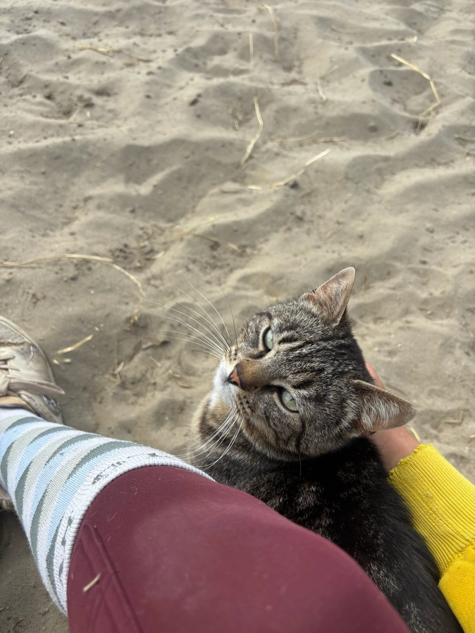 Mientje - Pauweldreef 3, Moorslede