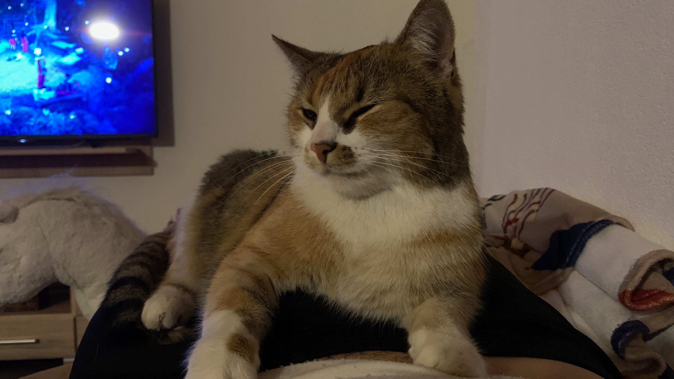 Fritzi - Dreschgasse, Umhausen