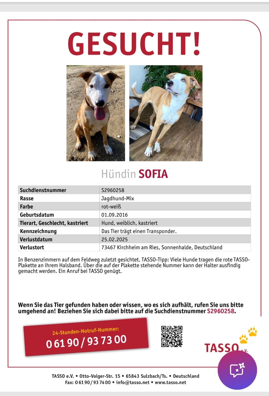 Sofia  - Gumpen, Kirchheim am Ries