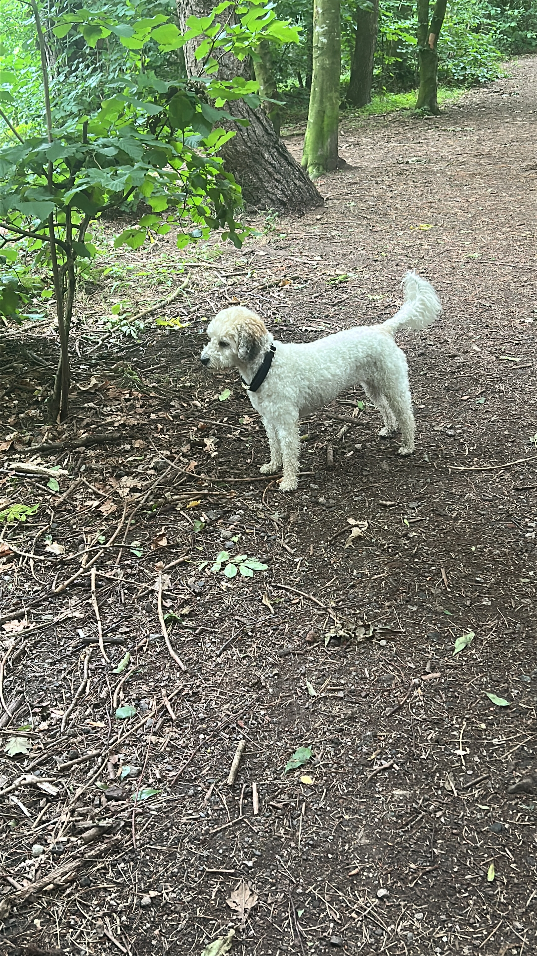 Delilah - The Roundabout, Widnes