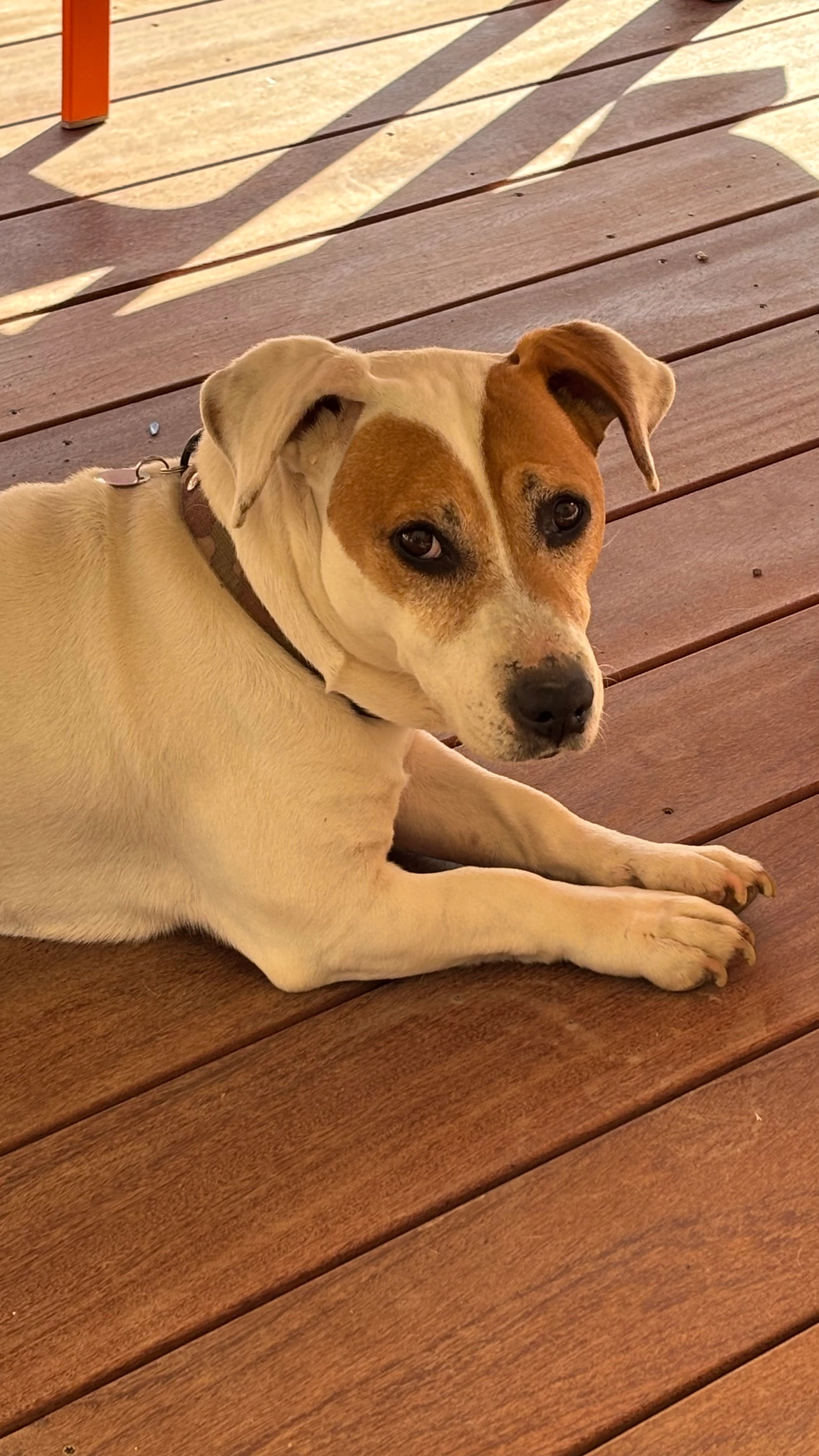 Louki - Rue des Petites Justices, Niort