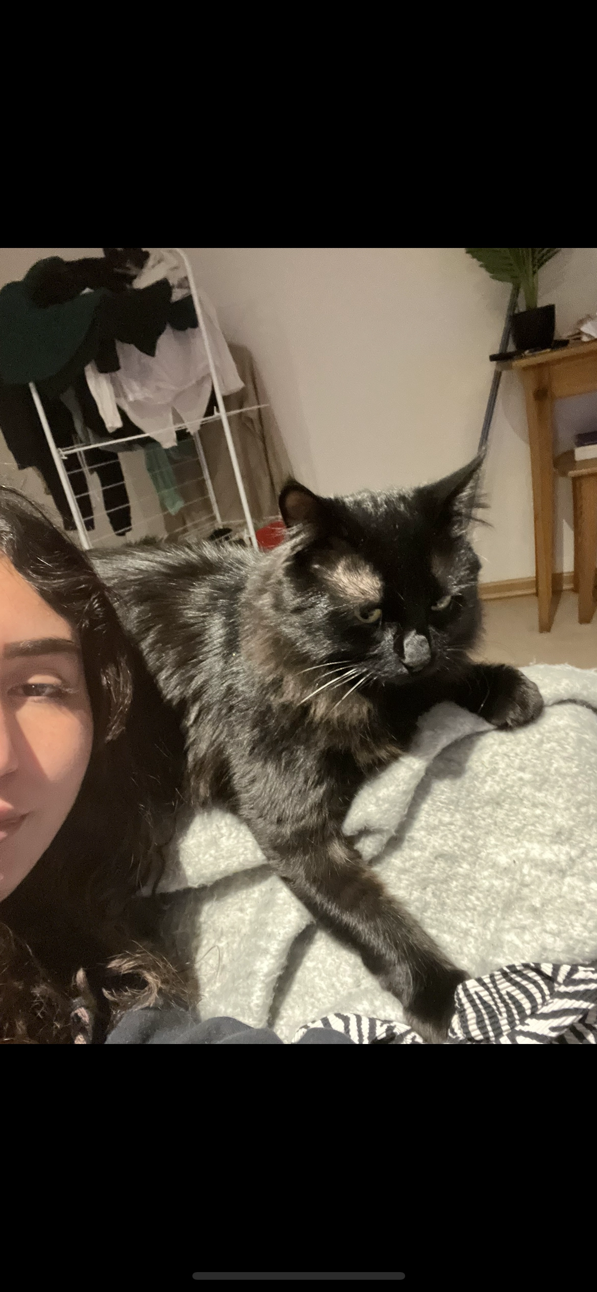 joey mais il répond à "Doudou" - Rue De La Farandole, Istres