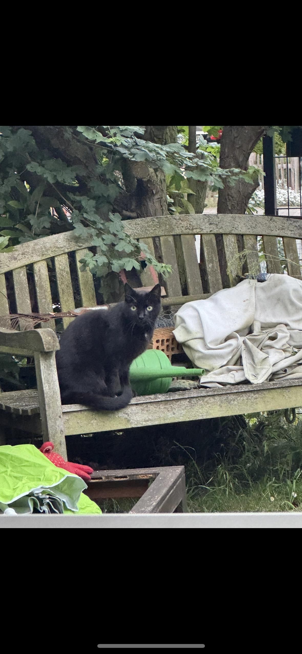 Devil - Kleiststraße, Braunschweig