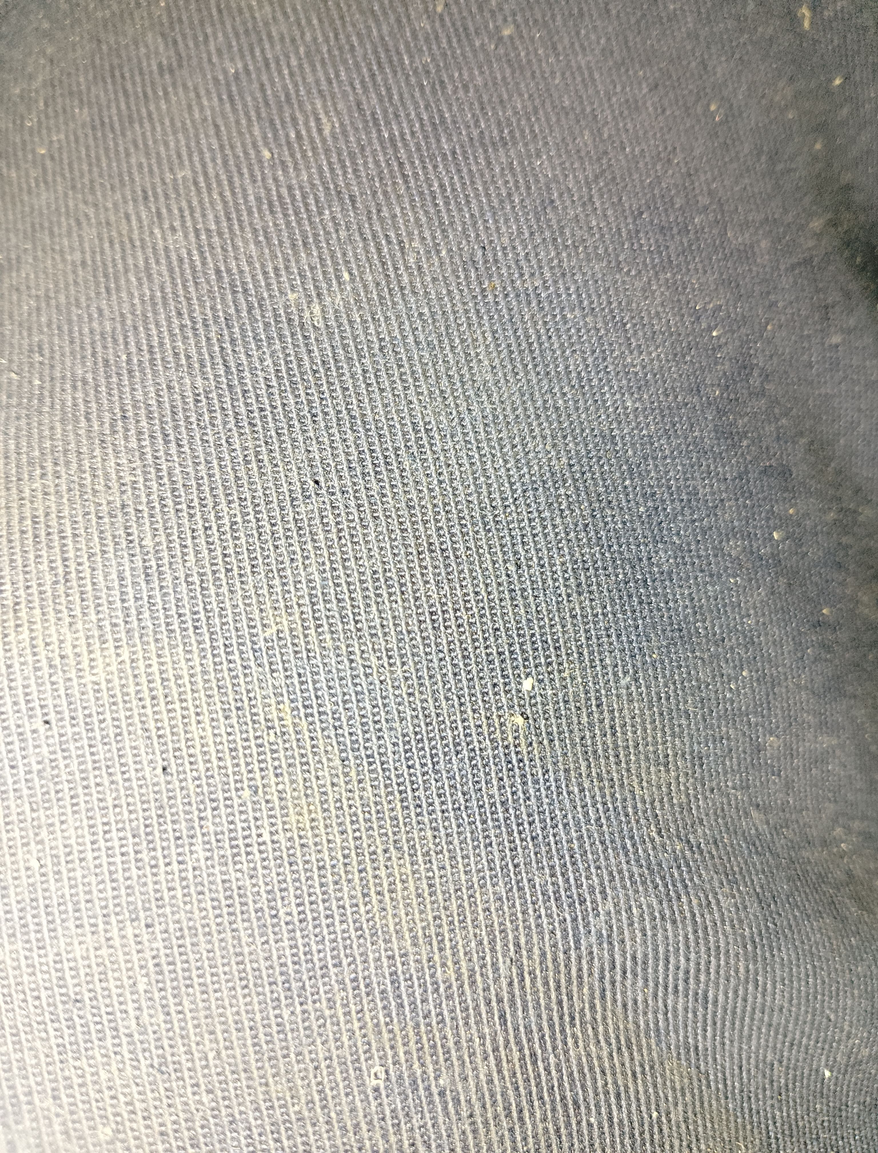 Kinky - Seegersweg, Bremerhaven