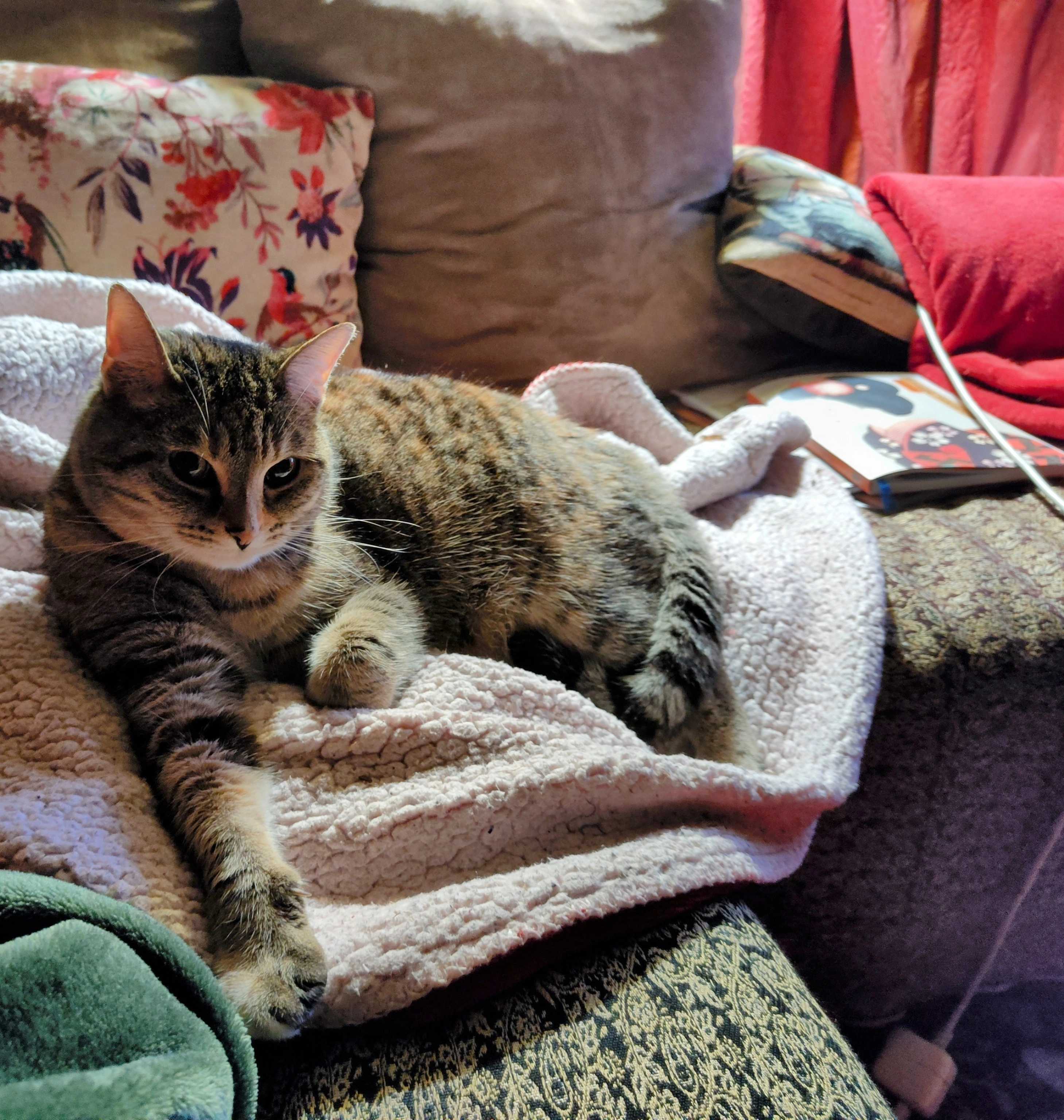 Plume - Les Grandes Buttes, Cures