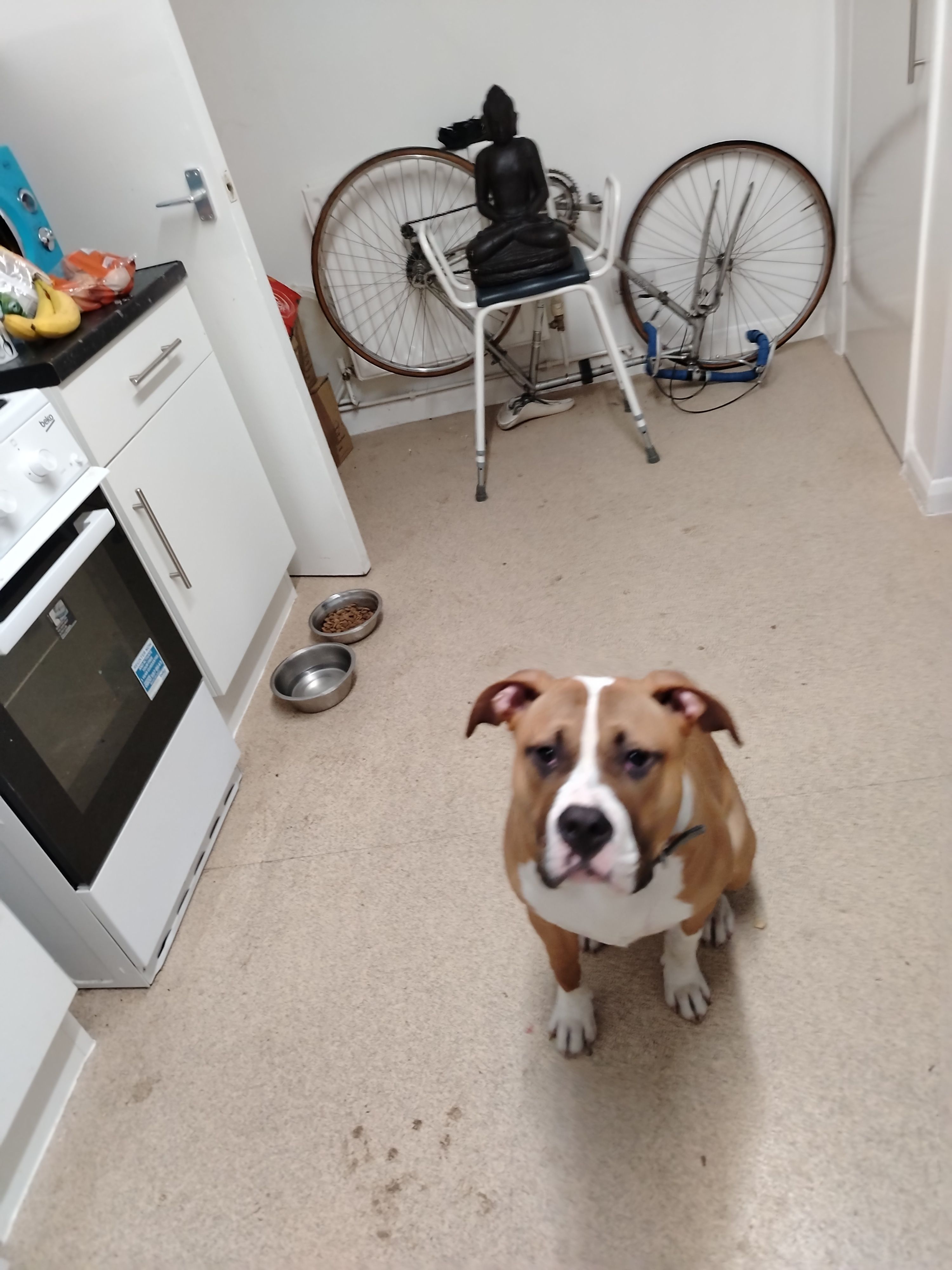 Kizer - SW19 7, London