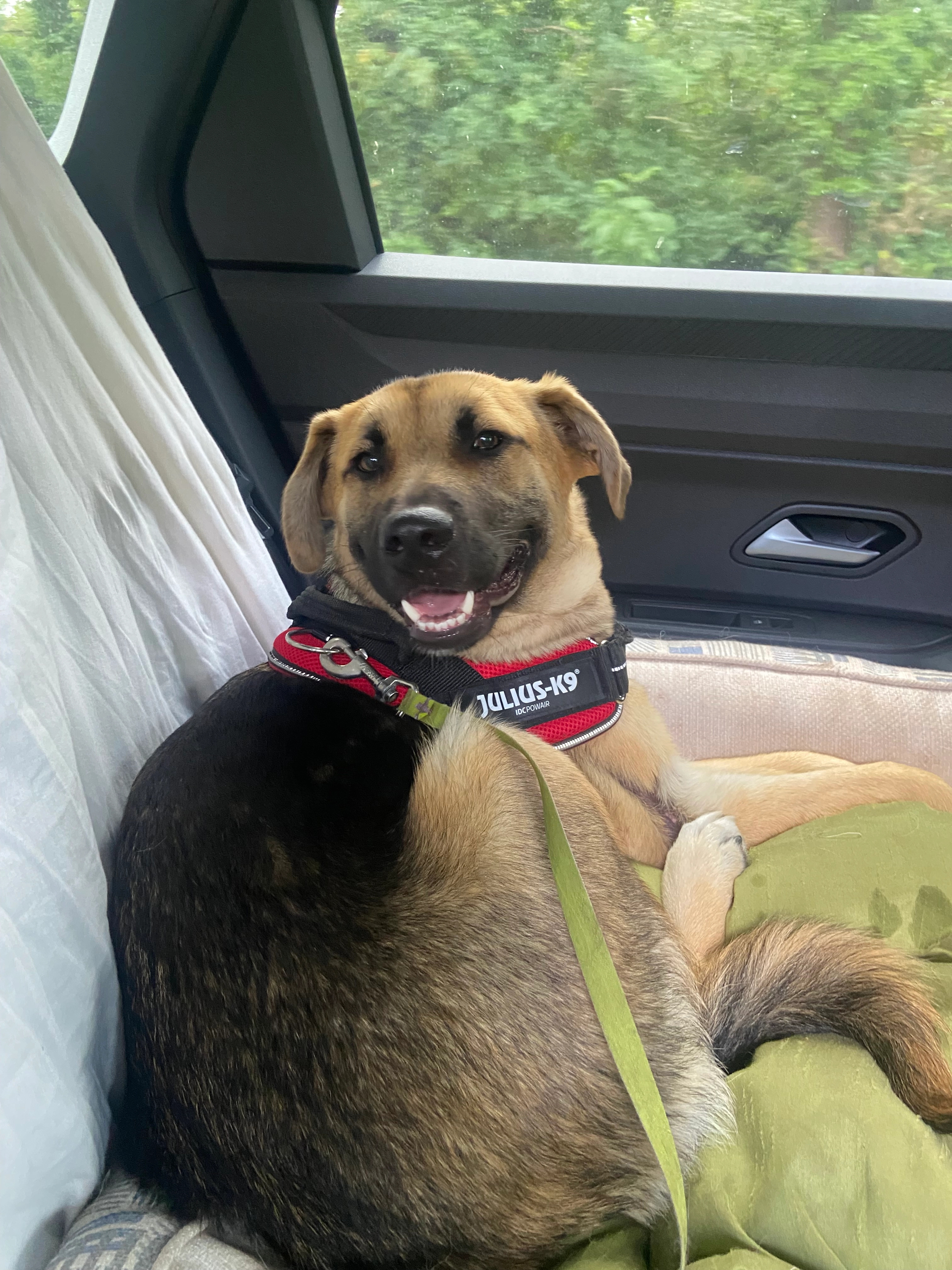 Peggie - Markeweg, Blijham