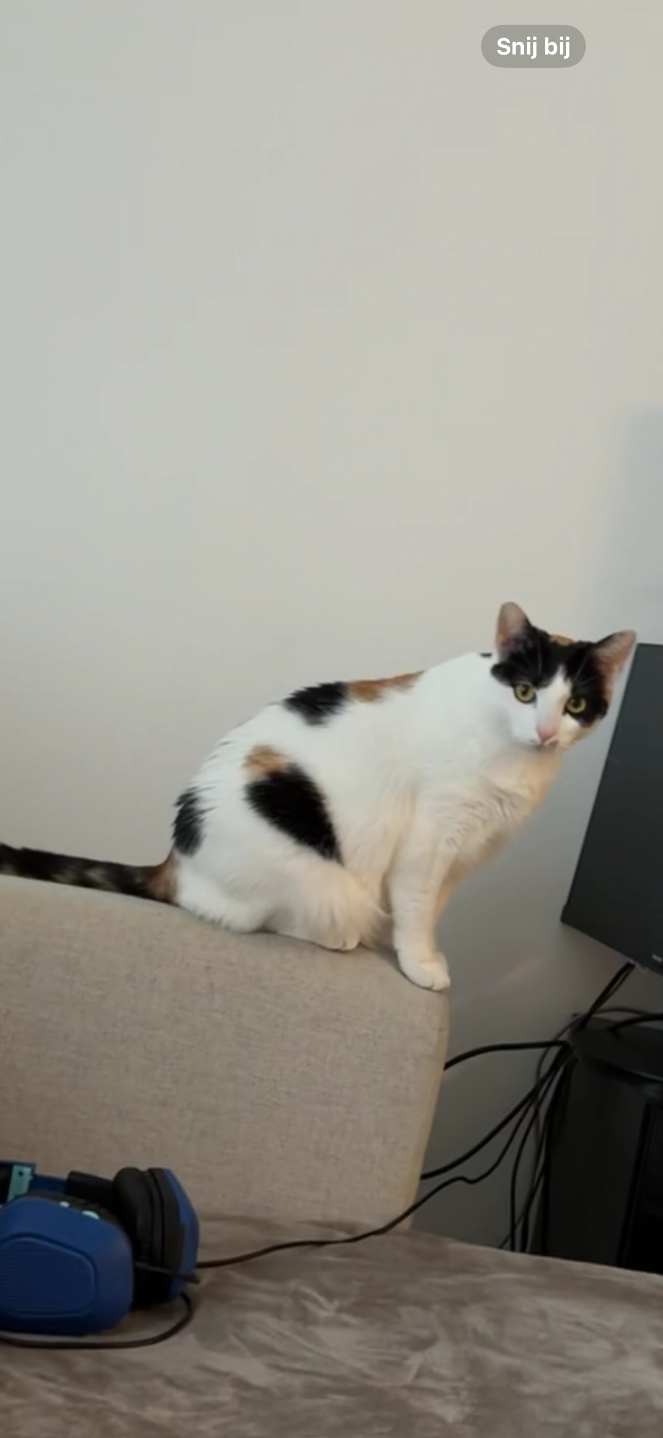 Raya - Edegemsestraat , Mortsel