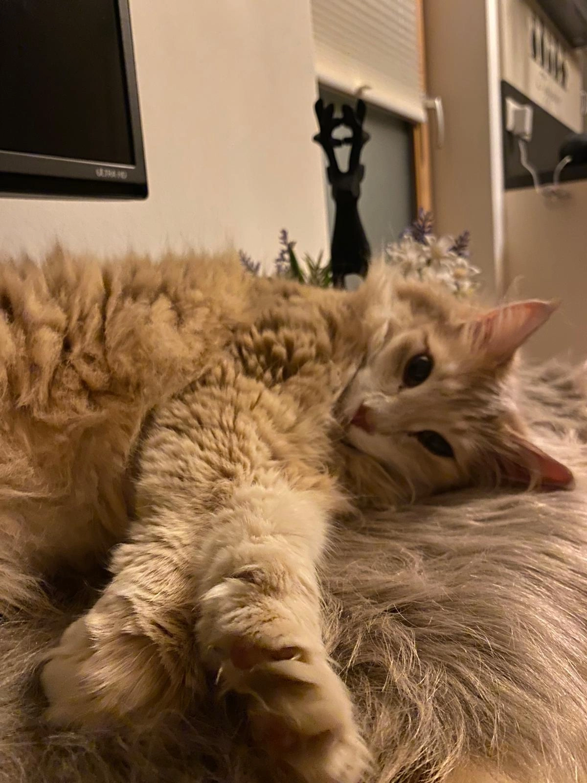 Bugles - Kreuzberg, Bischofshofen