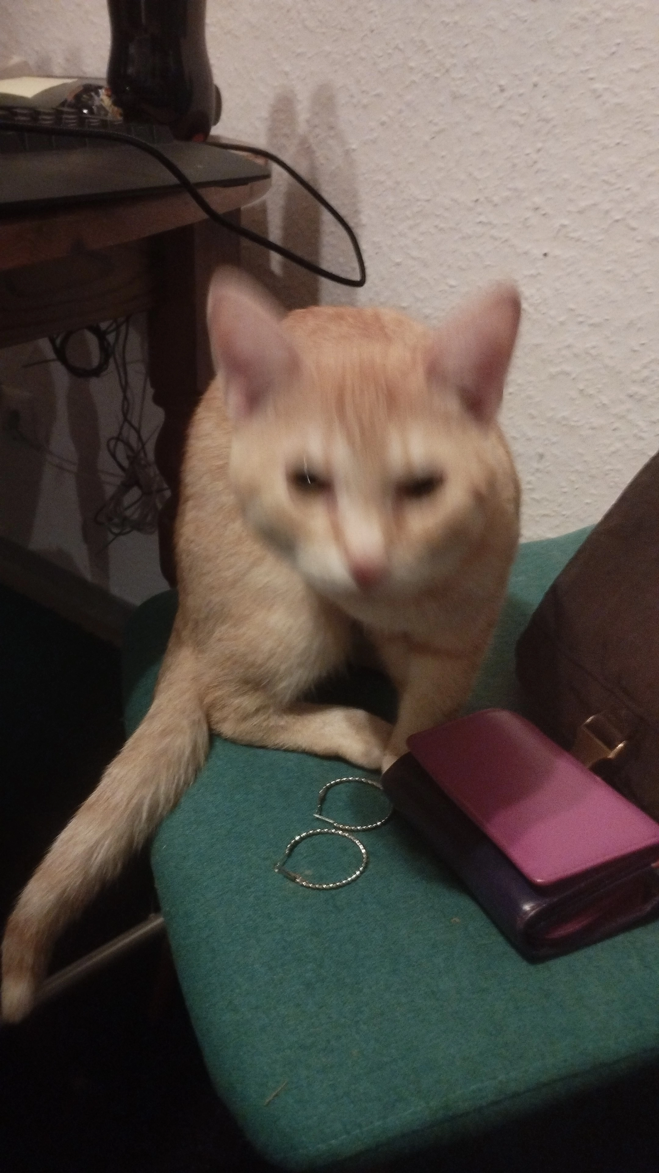 Momo - Brückenstraße, Sankt Sebastian