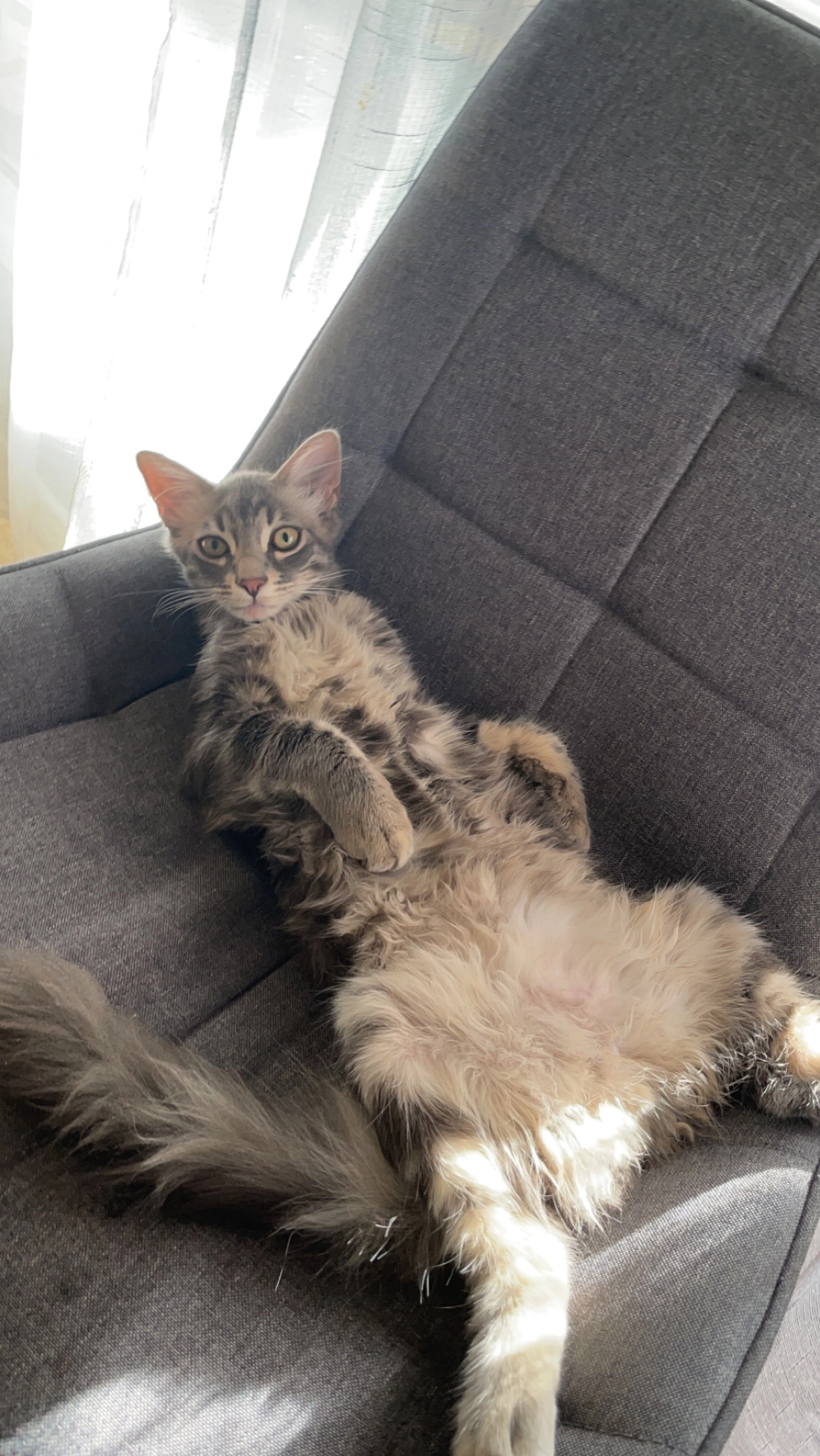 Mowgli - 265 Chemin du Chaland, Fos-sur-Mer