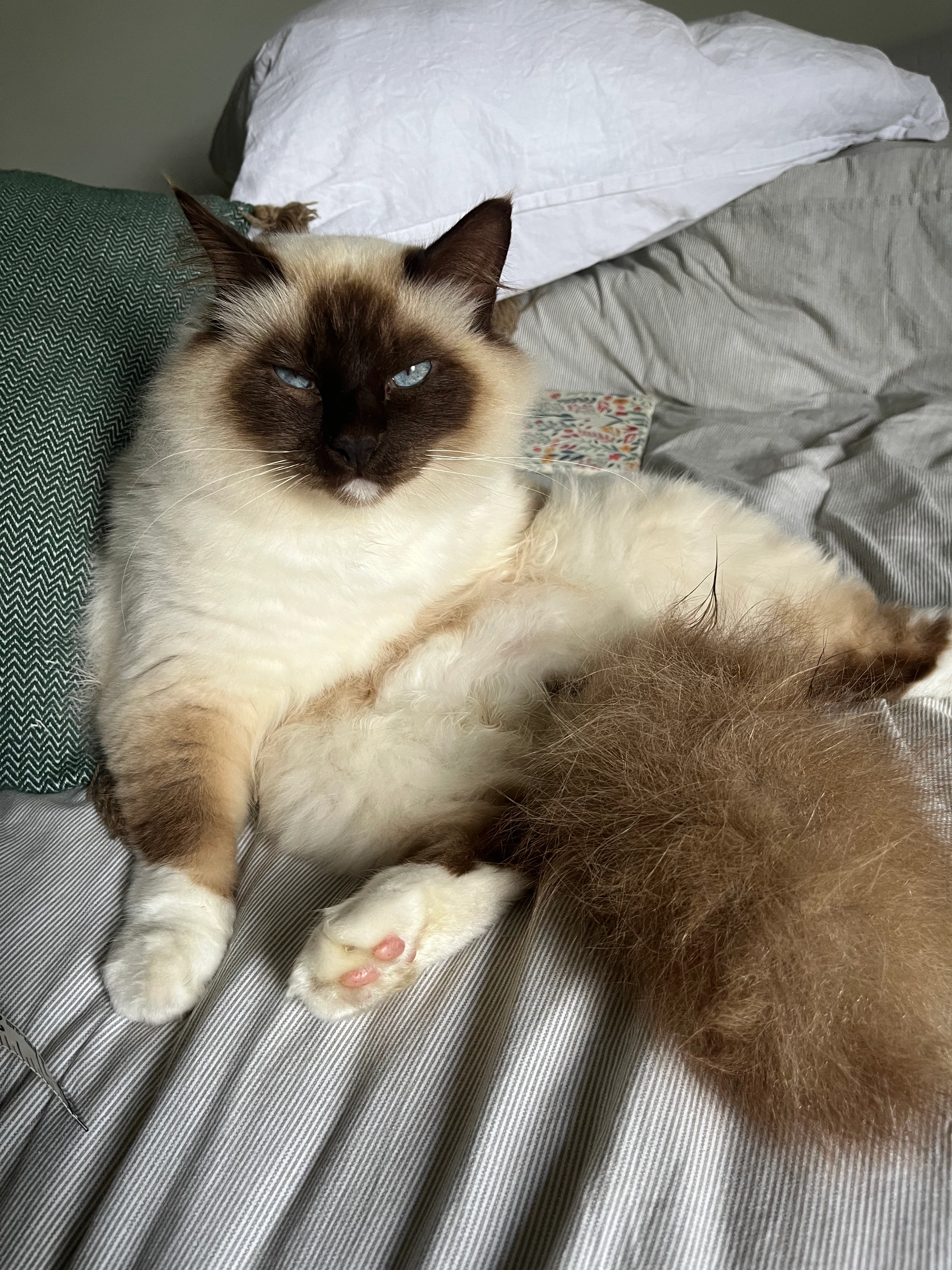 Rupert - 666 Route de Monnaie, Reugny