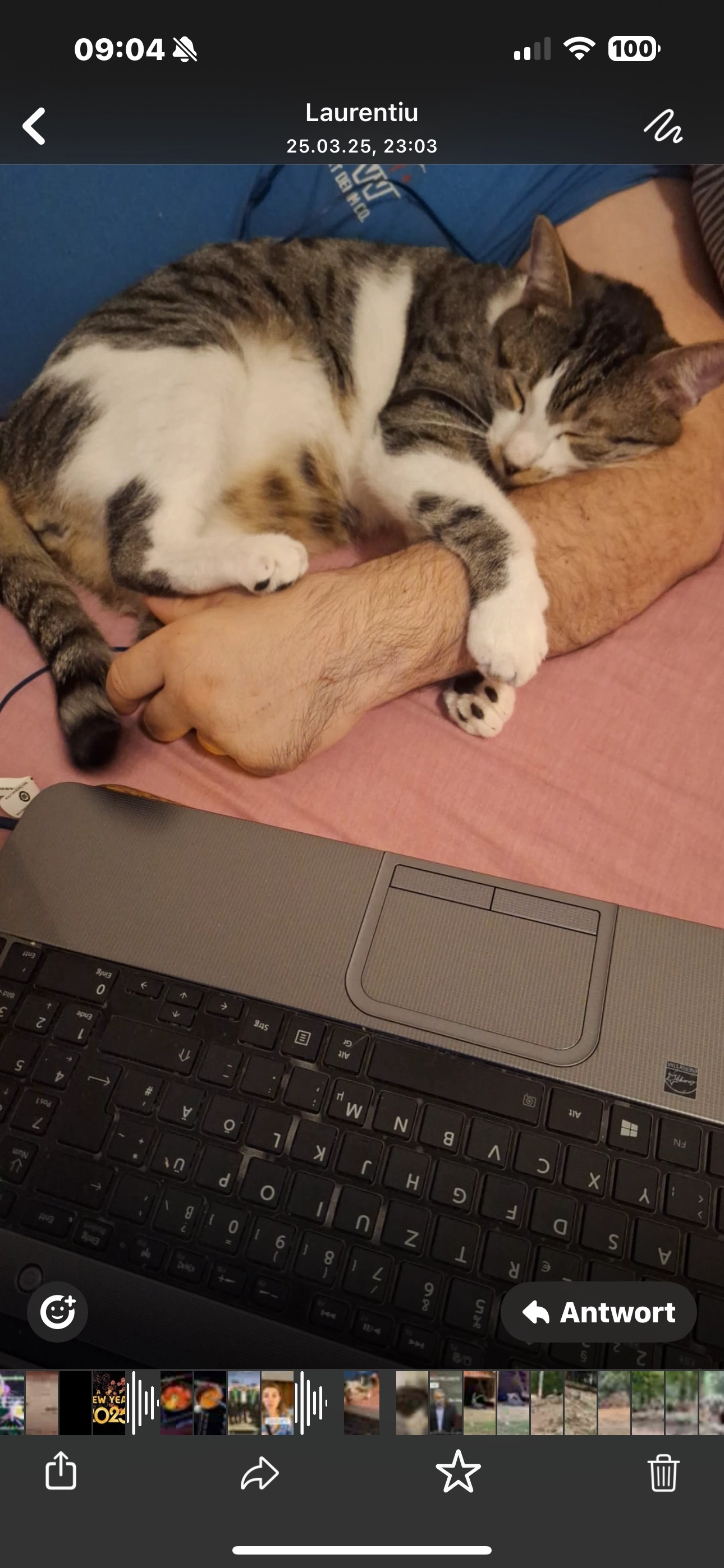 Mau Jack - Bujoreanca, Cornești