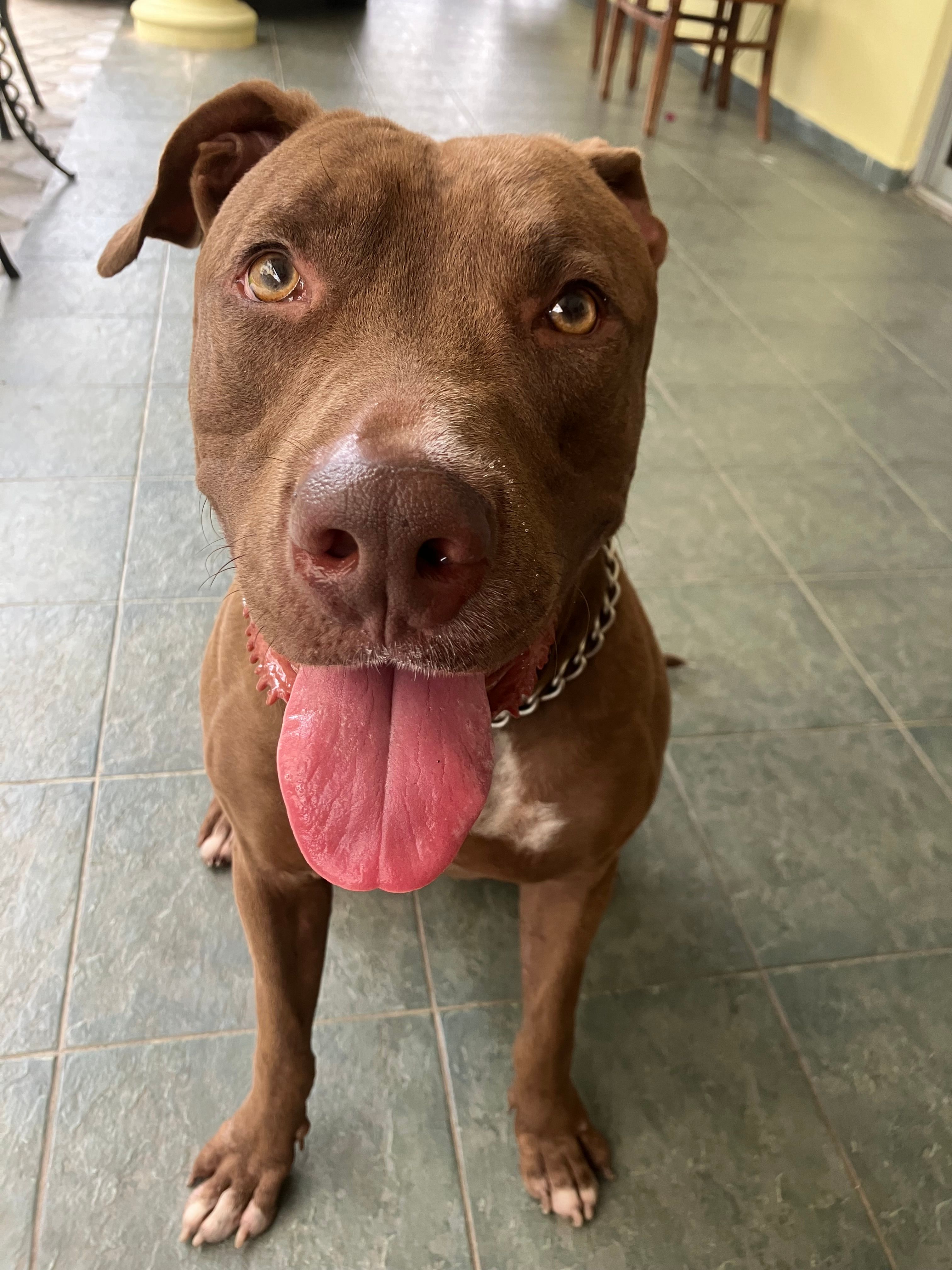 Crush - Jalan Ampang, Ampang