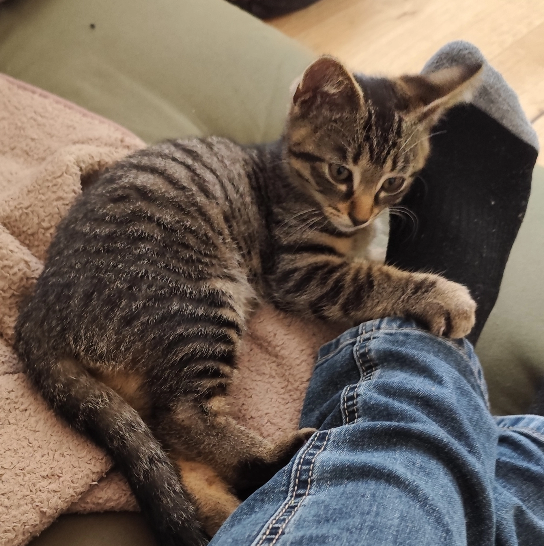 Loki - Bürgermeister-Kleinmaier-Straße, Bruckmühl