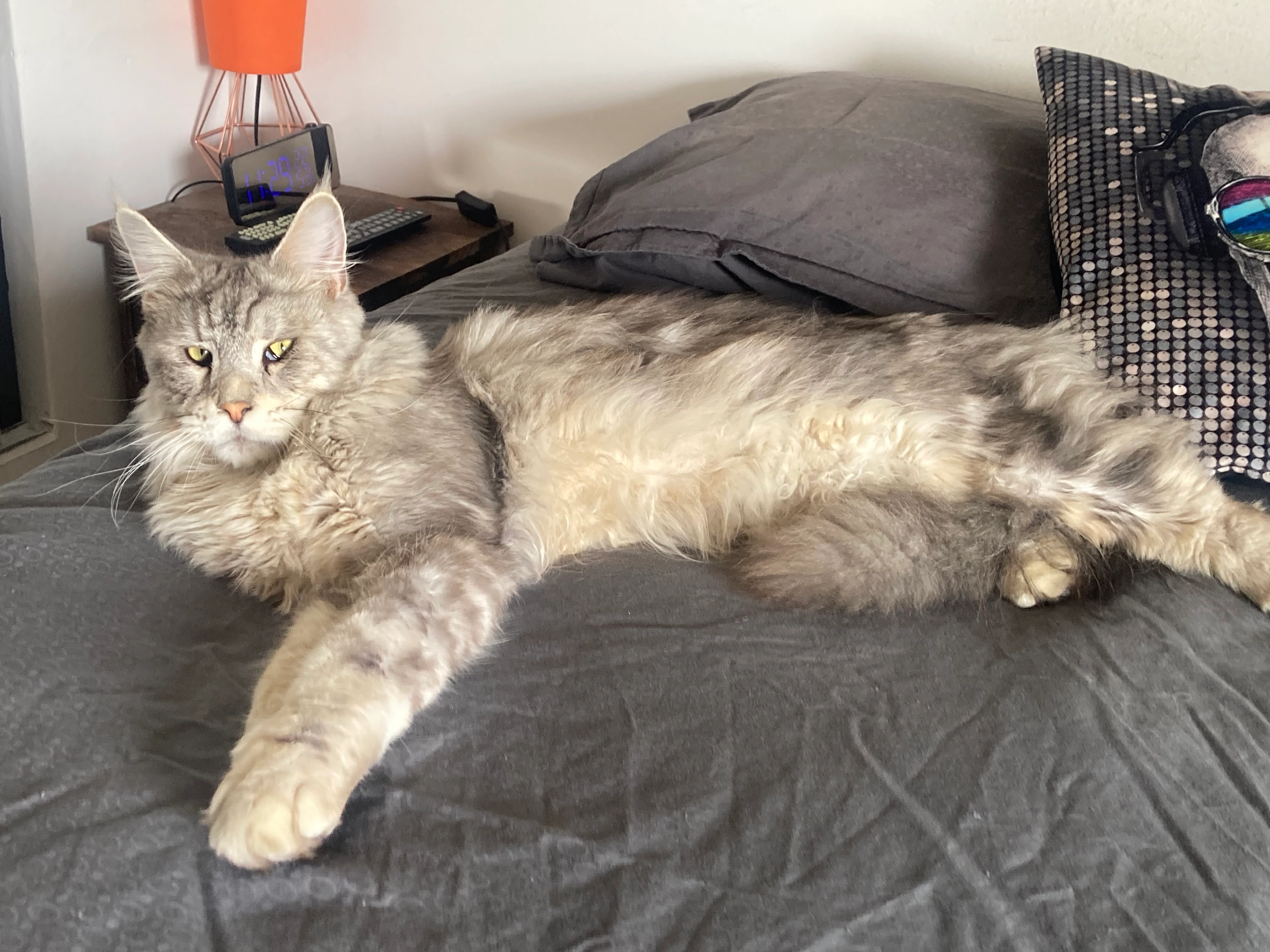 Fandor - 539 Chemin du Pont des Lièvres, Eyragues