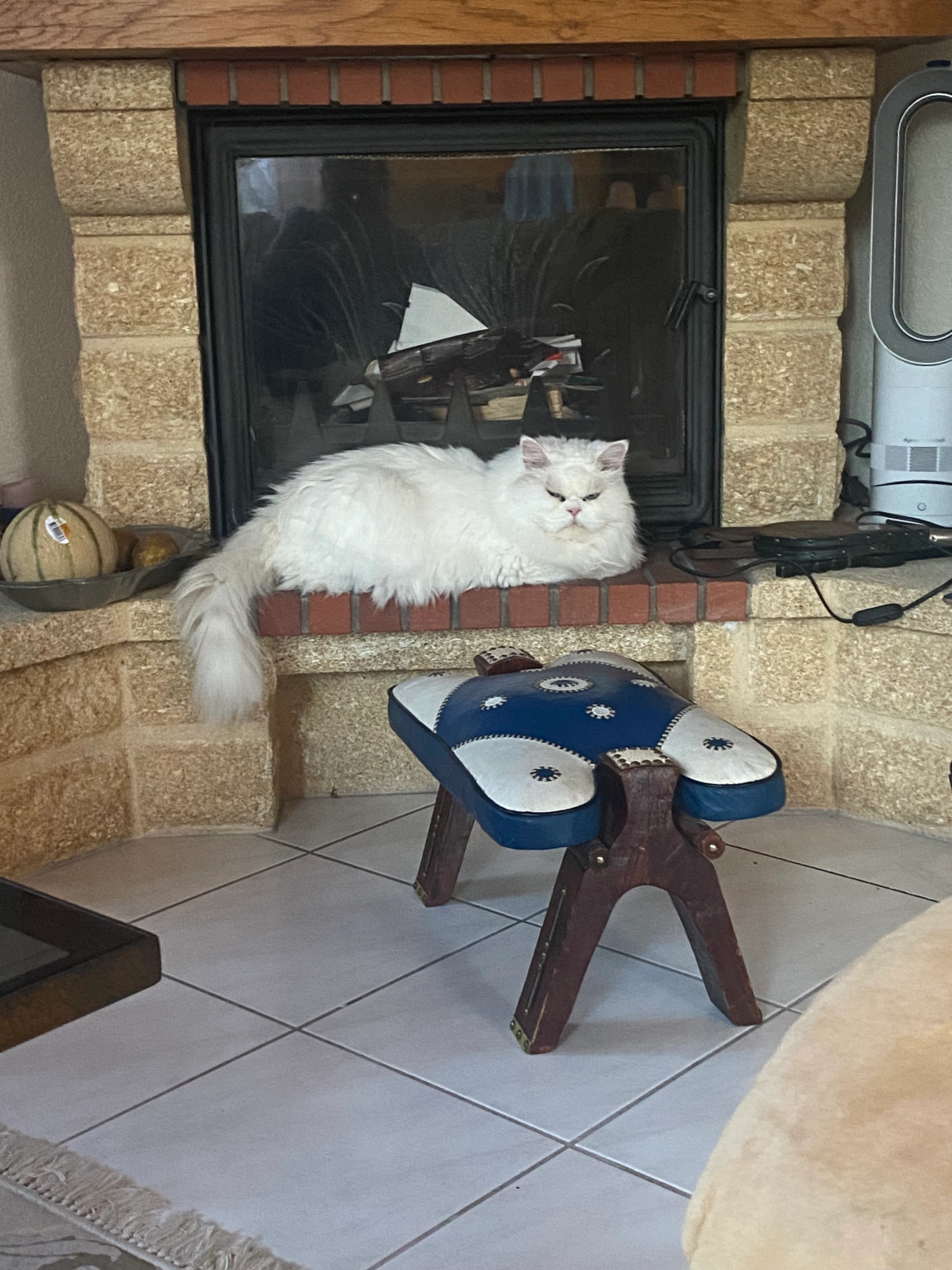 Tidji  - Route du Tivoli 53, Cheyres-Châbles