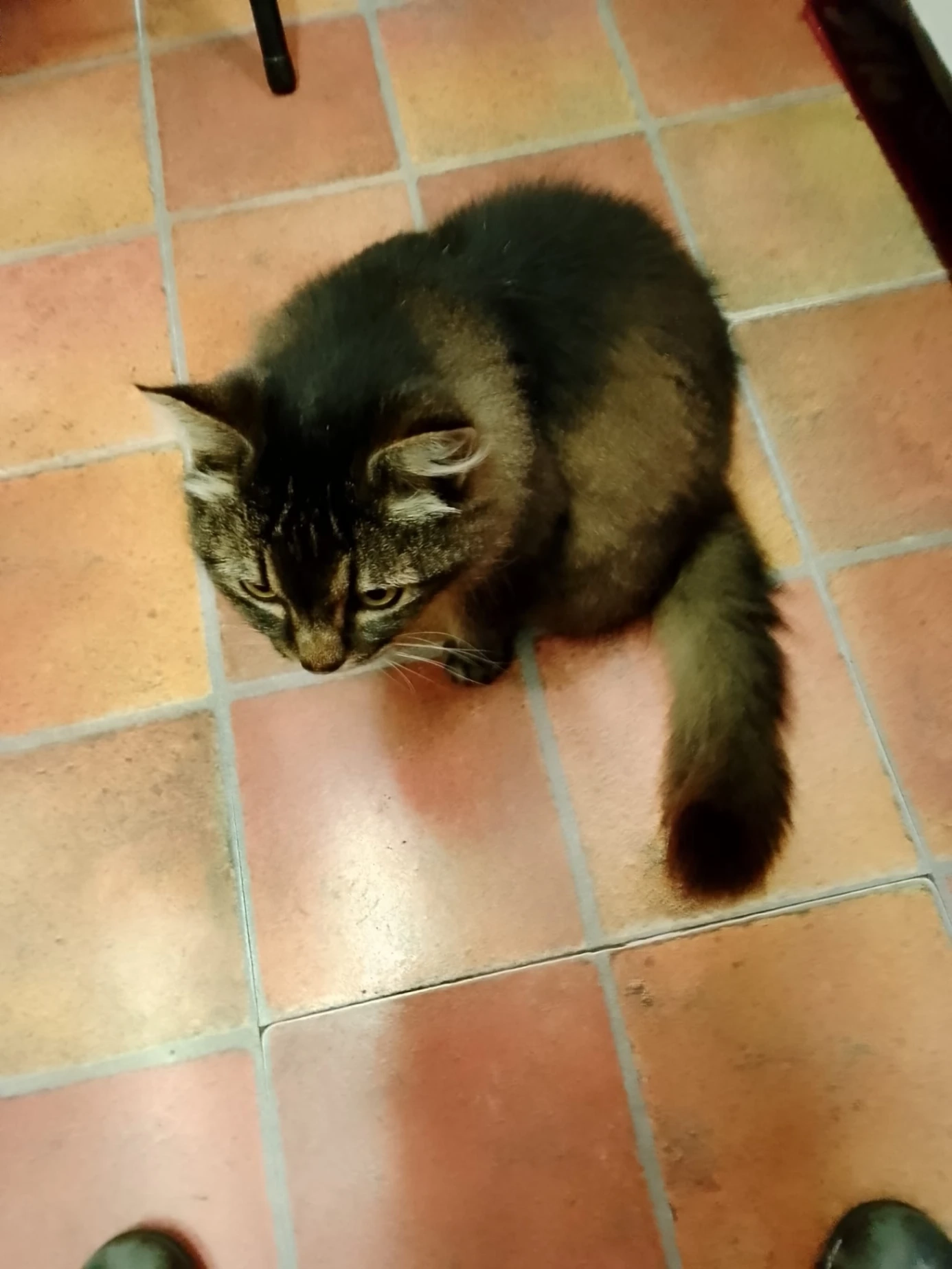 Marley - Robin Hood Lane, London