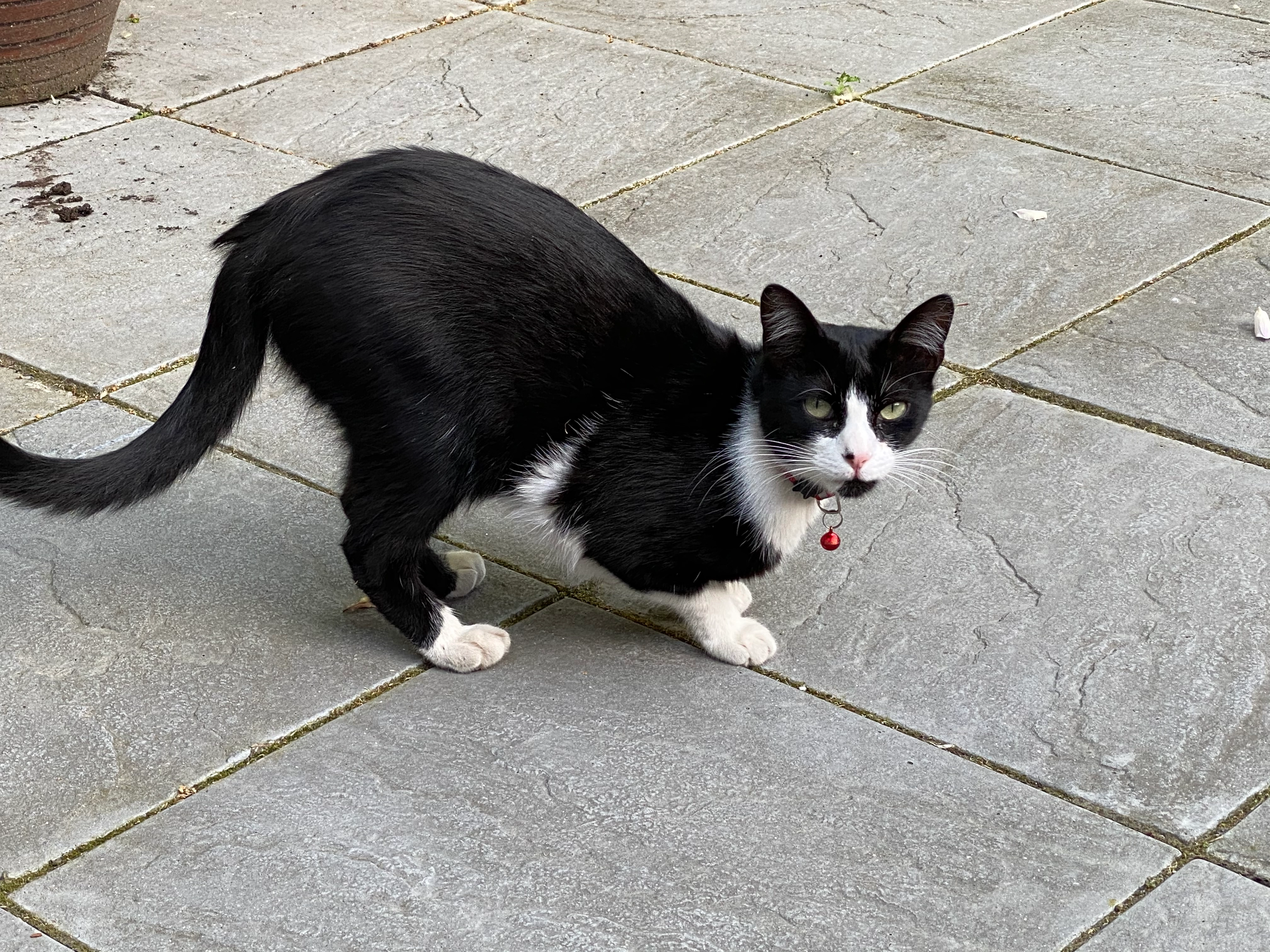 Costa - PO35 5, Bembridge