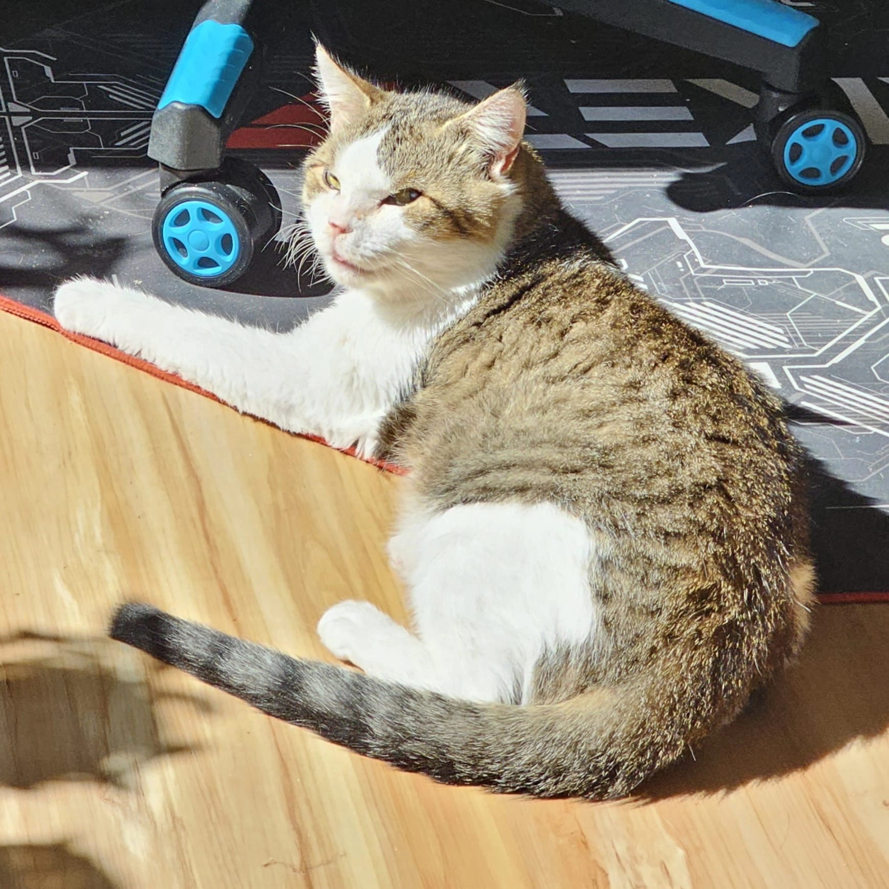 Maxi - Futaker Straße, Garching an der Alz