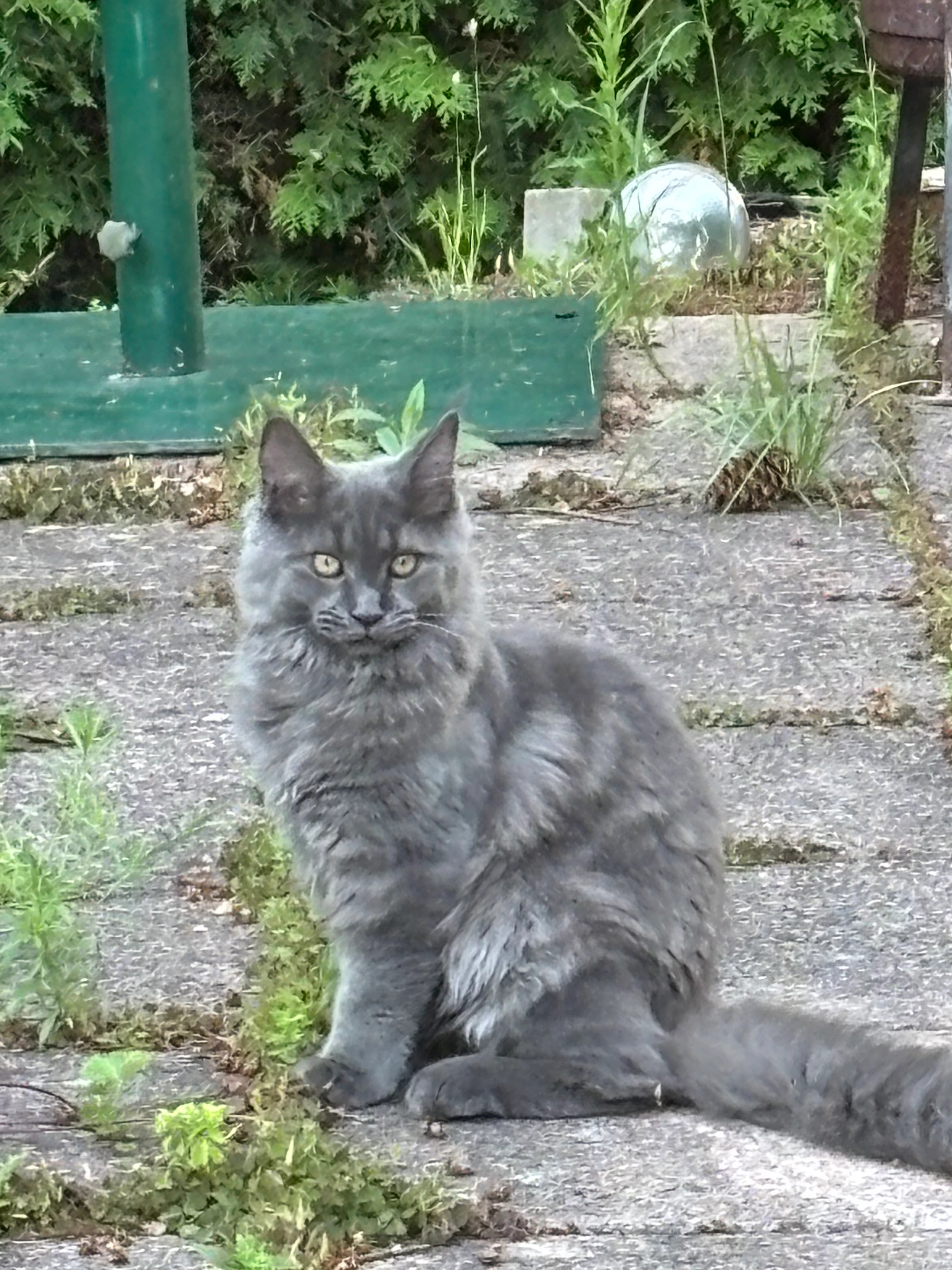 Sisi - Knokenholt 26, Hamburg