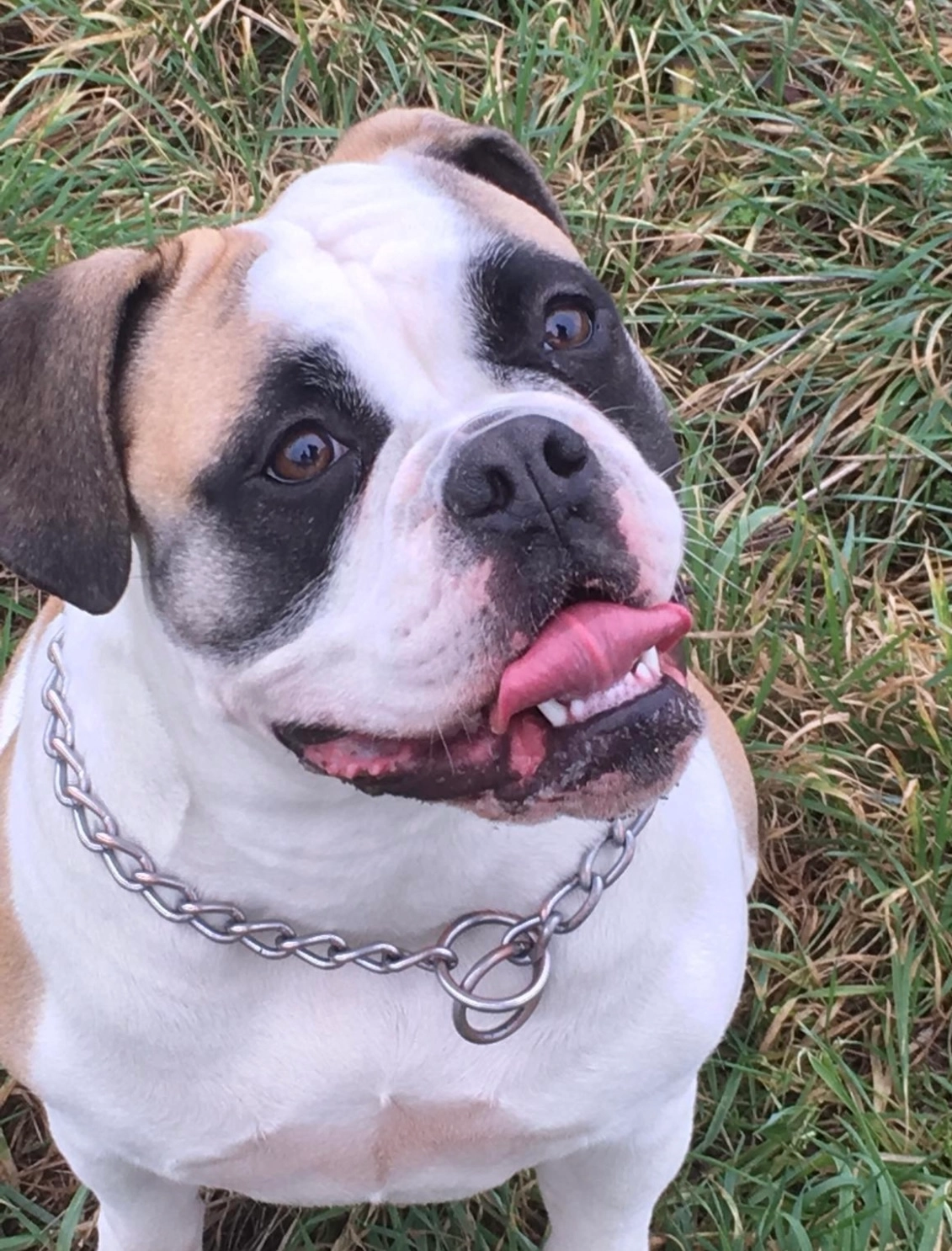 Luna - Sankt-Alban-Weg 34, Lörrach