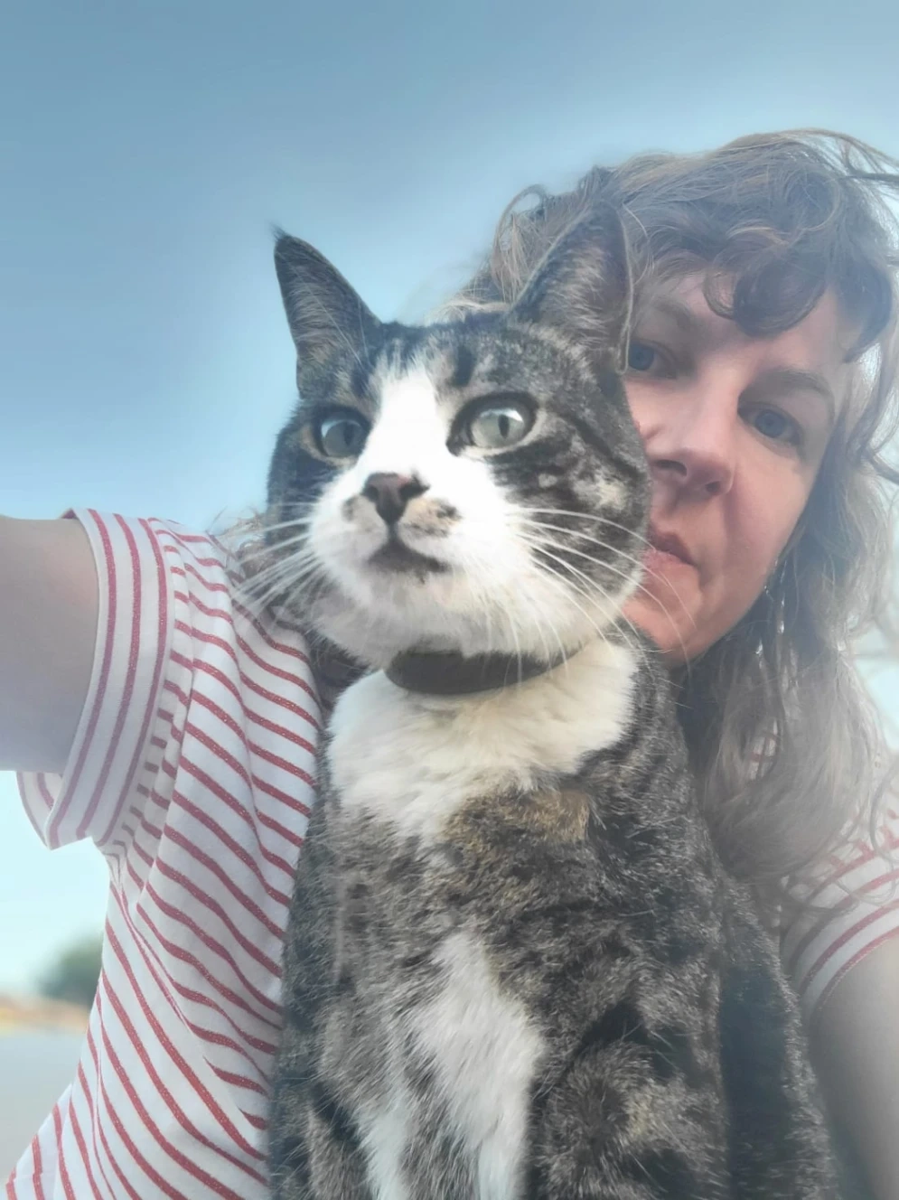 Marshali - Rue des Bourguignons, Asnières-sur-Seine