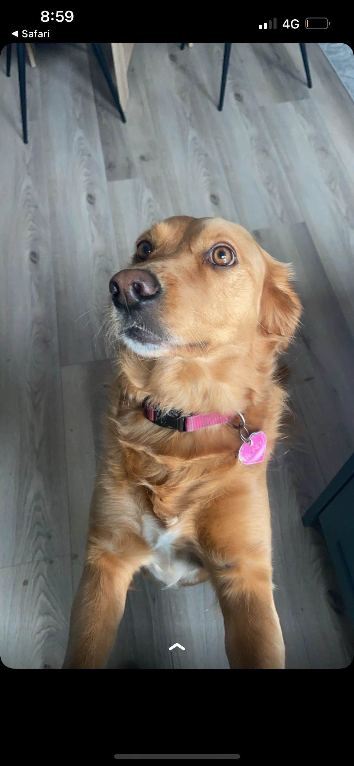 Honey - Peyton View, Rathcoole