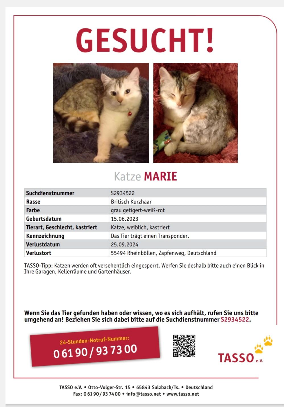 Marie - Zapfenweg, Rheinböllen