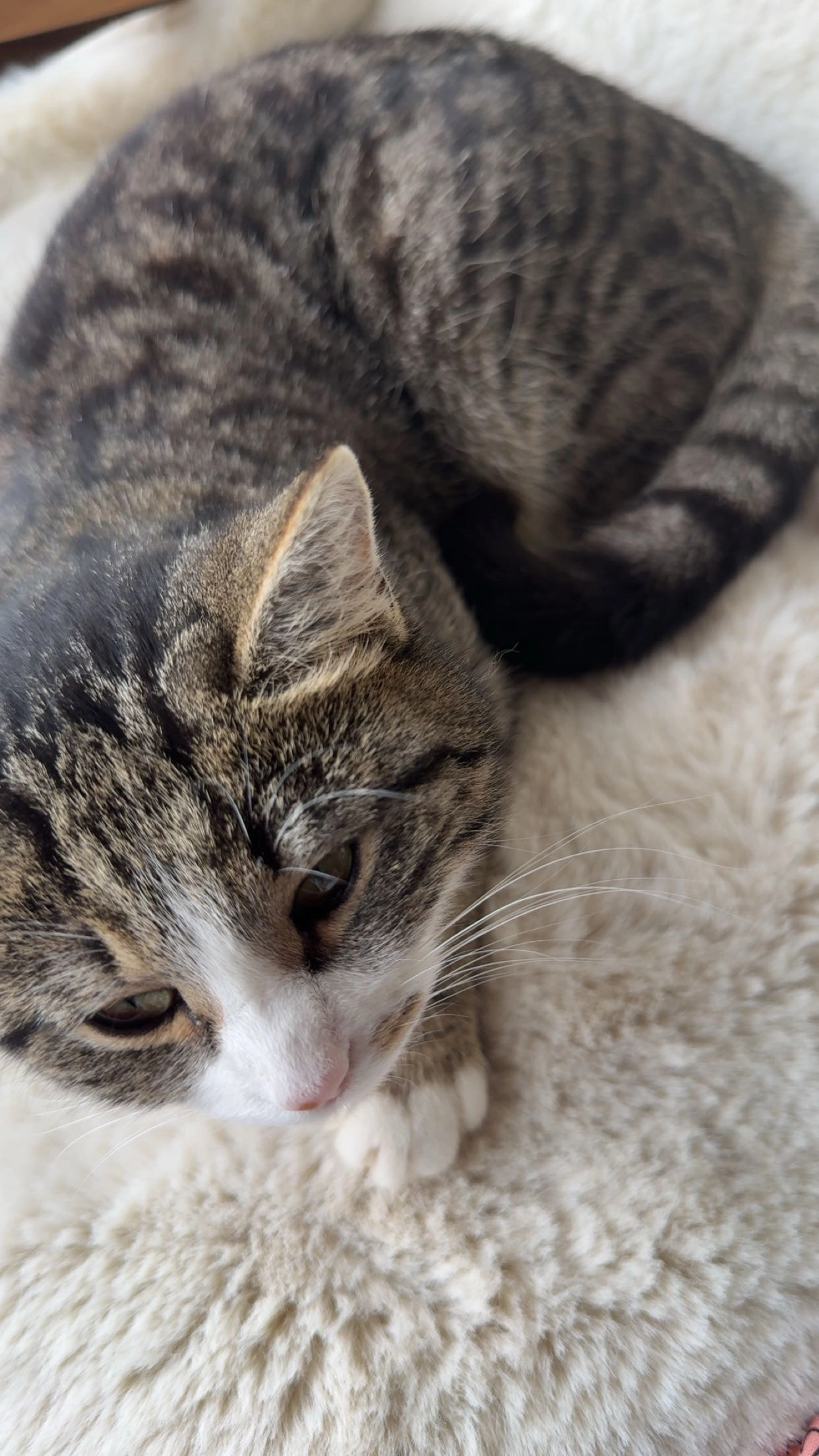 Nala  - Außerhalb von altenmarkt , Altenmarkt an der Alz