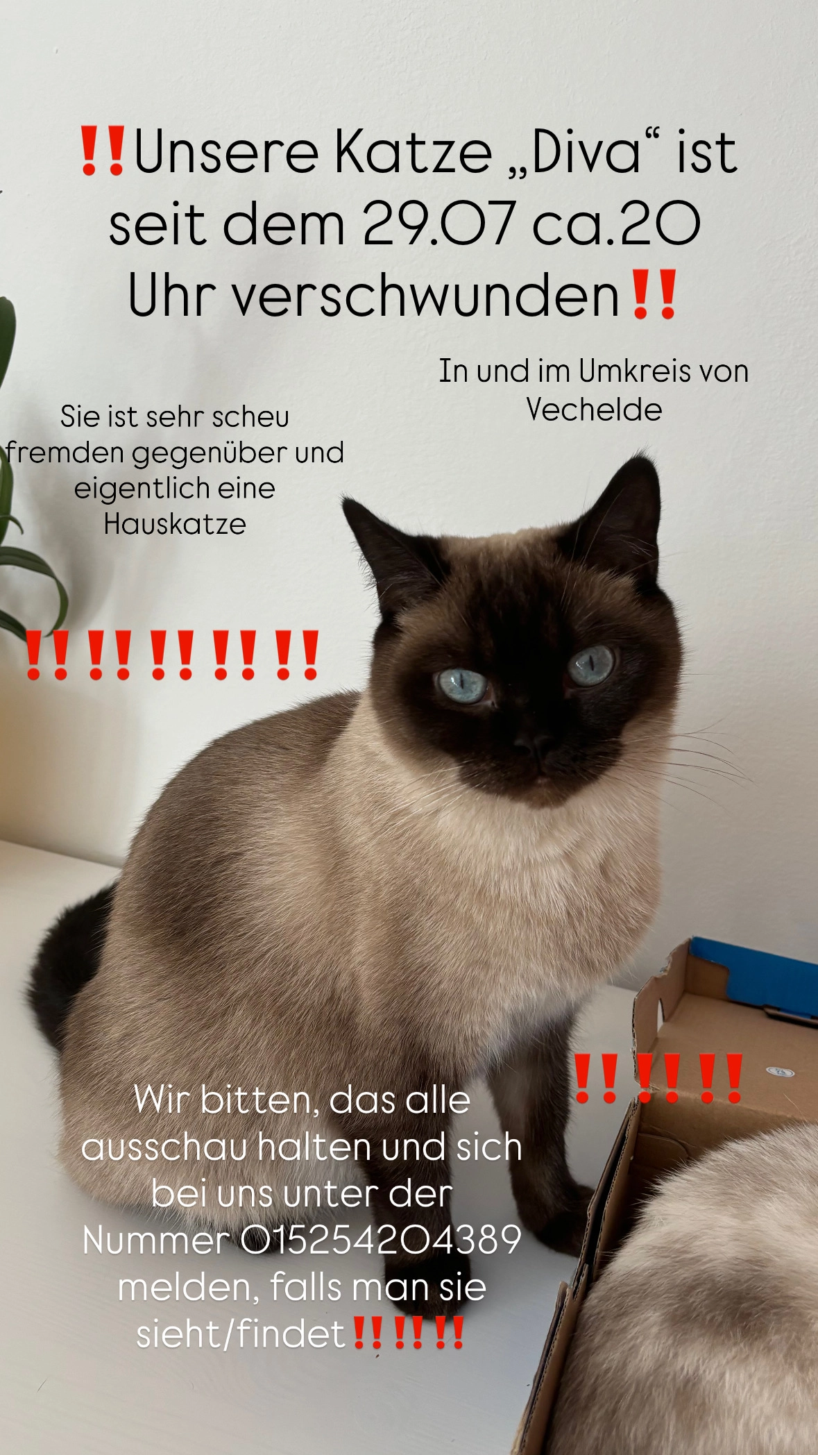 Diva - Peiner Straße, Vechelde