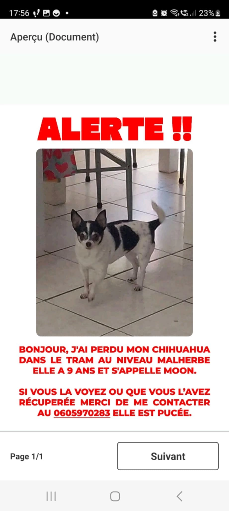 MOON - Place Des Jacobins, Échirolles