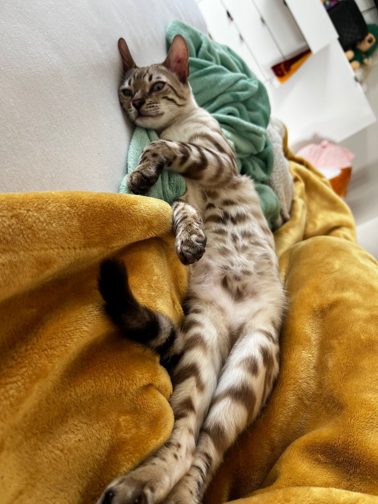 Bulut - Ghagäckerweg, Schwäbisch Hall