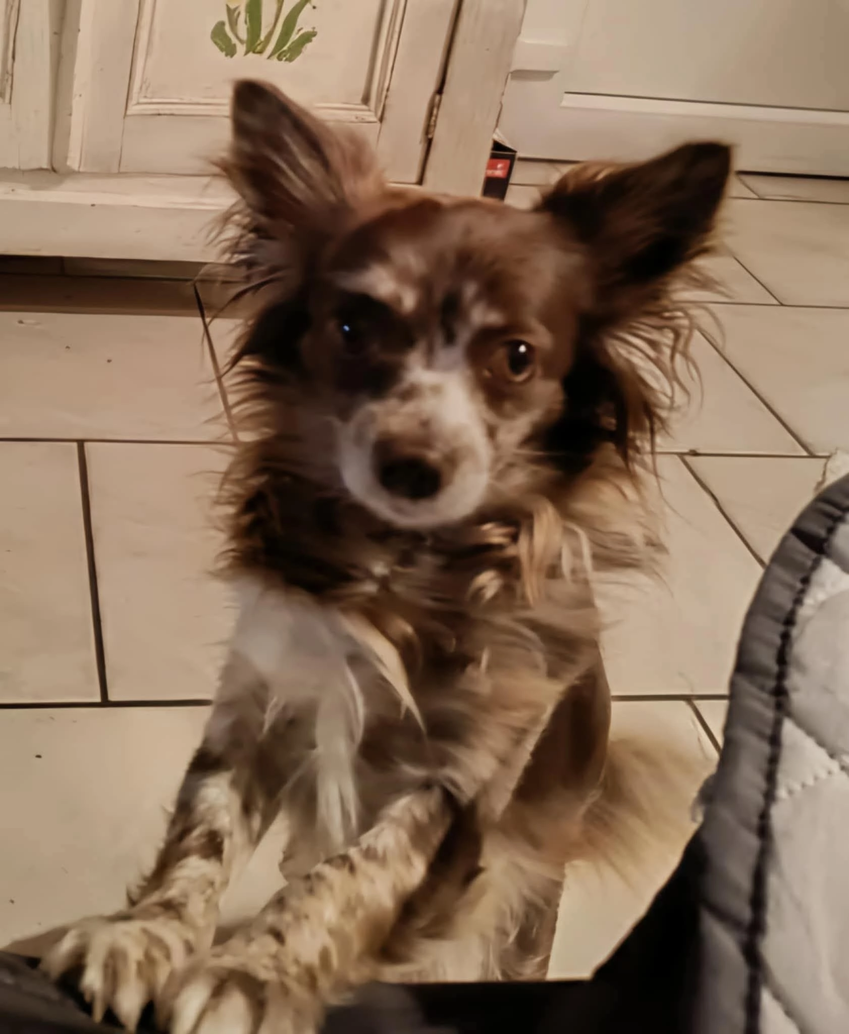 Kellia - Avenue du Fort 258, Flémalle