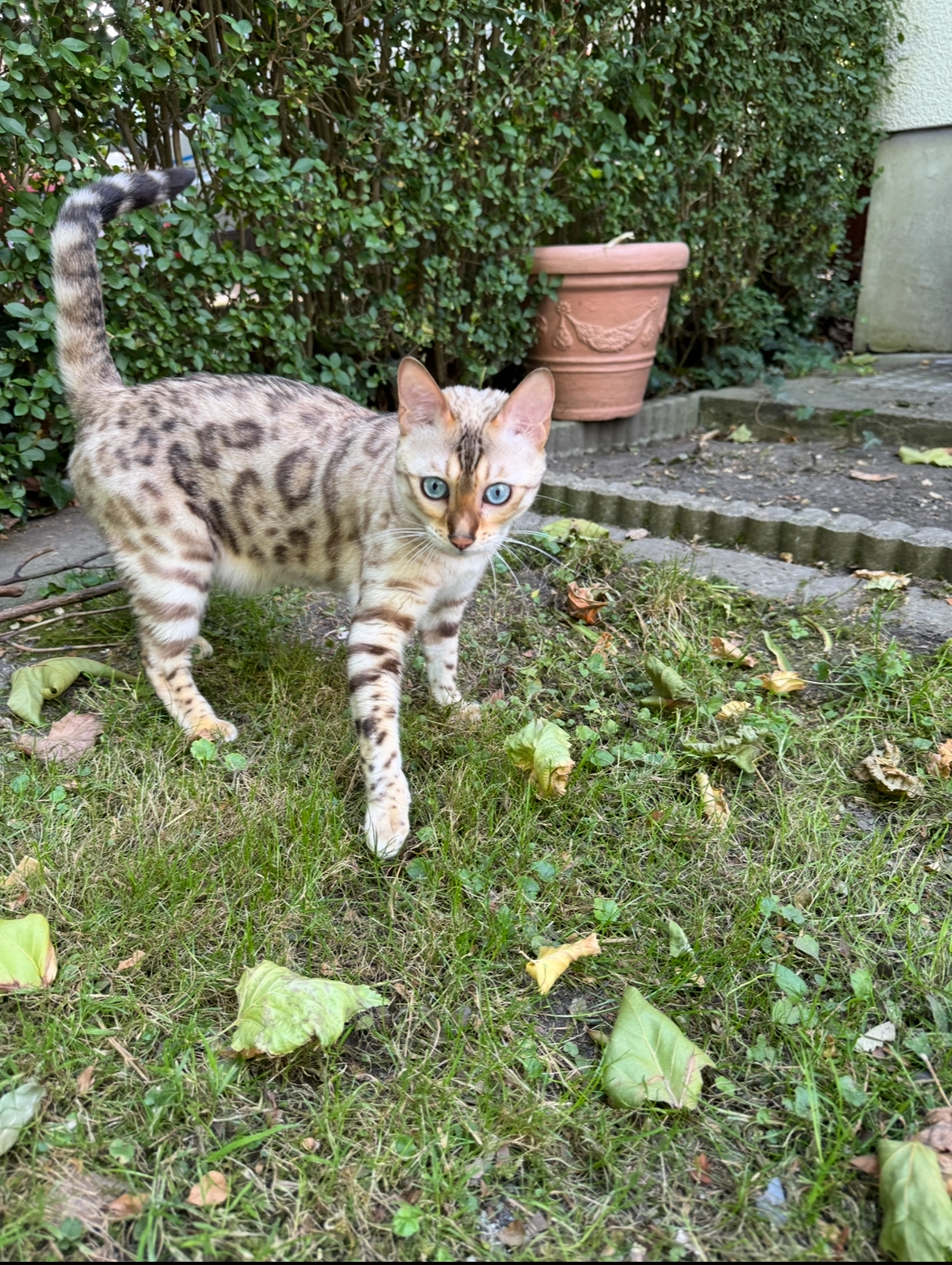 Marie - Schwarzbachstraße, Essen