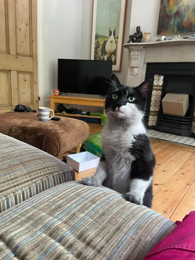 Cleo  - Erlanger Road, London
