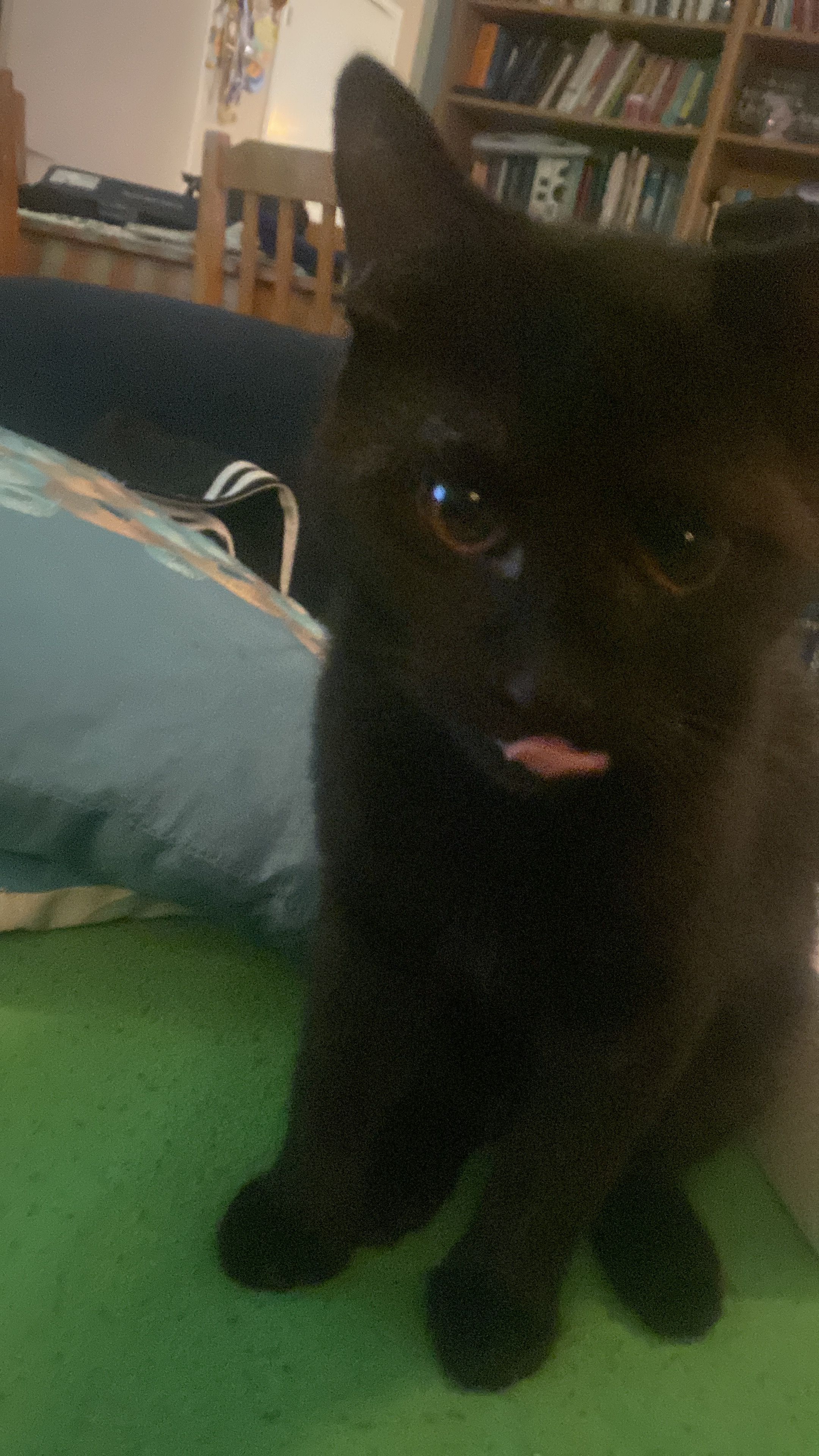 Chop chop - Uardavägen, Lund