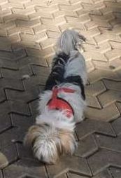 Pilli - Calle Madre San Marcelo, Sevilla