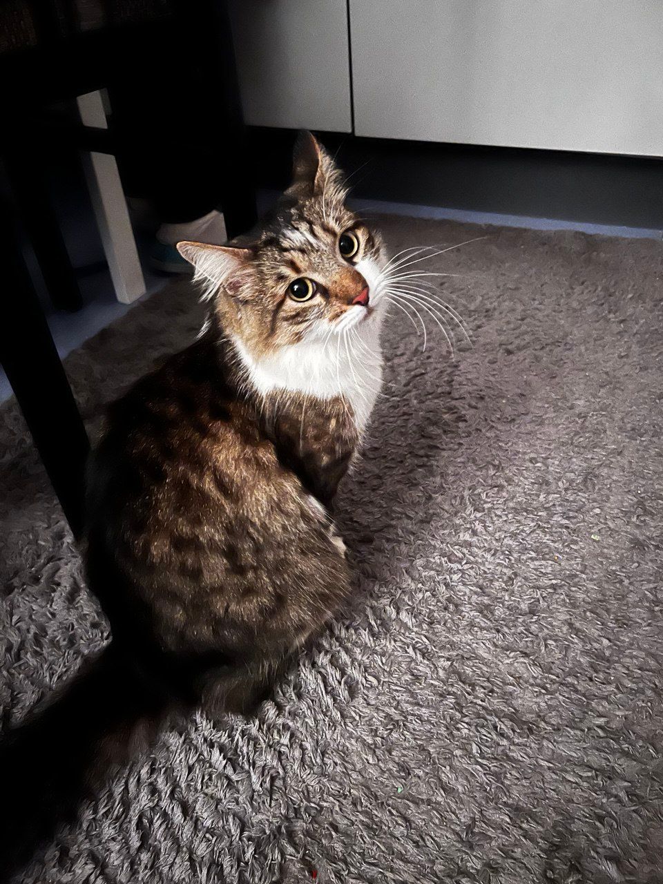 Timofey  - Sachsenstraße 36 A, Steinau an der Straße