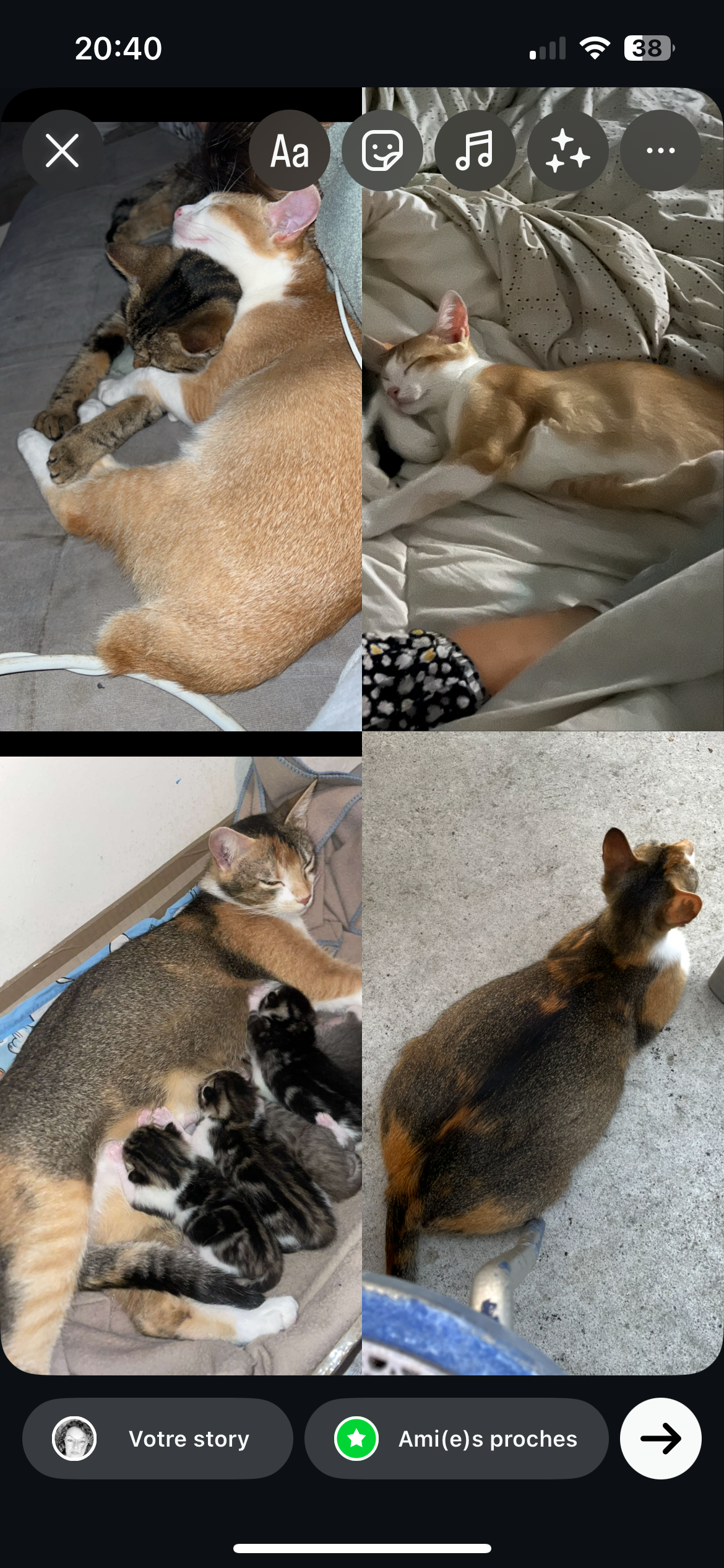 Izzie et cortex - Rue Les Ramières, Beauchastel