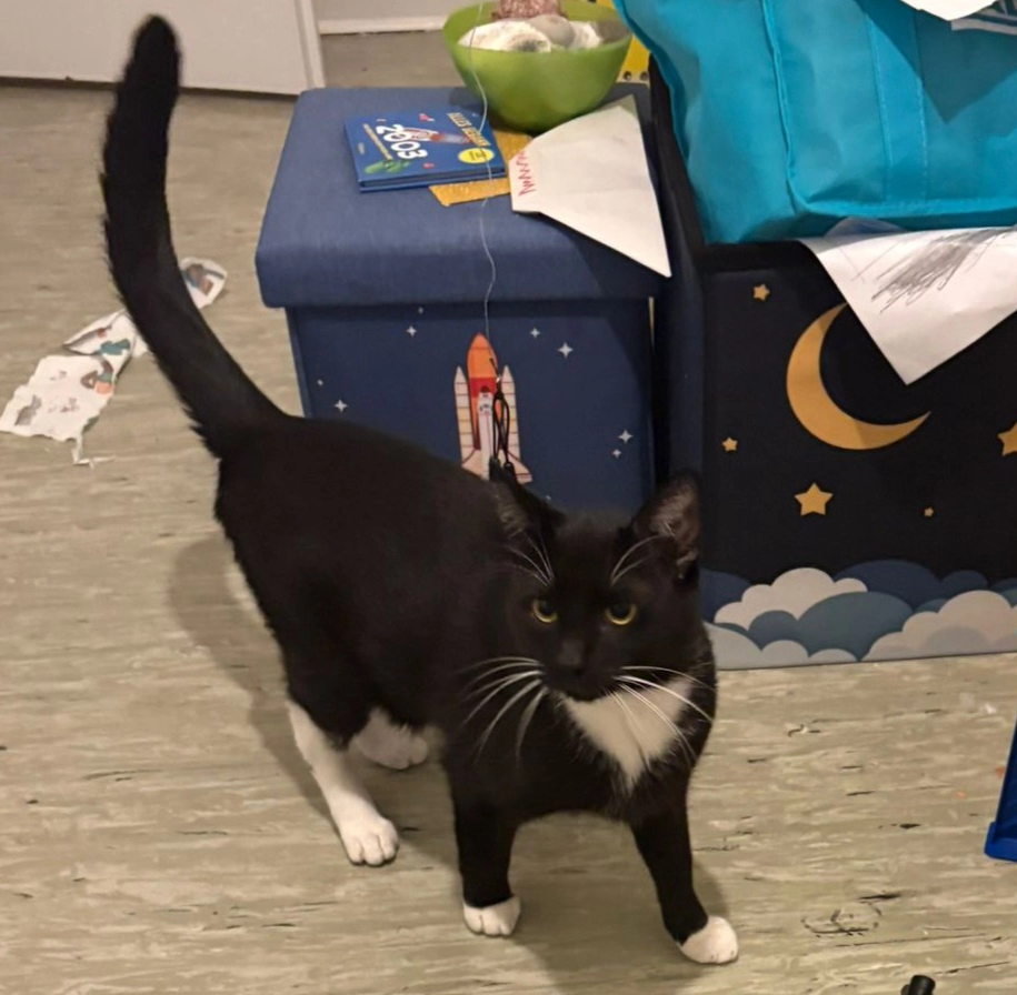 Loki - Kirschenallee 22, Lübeck