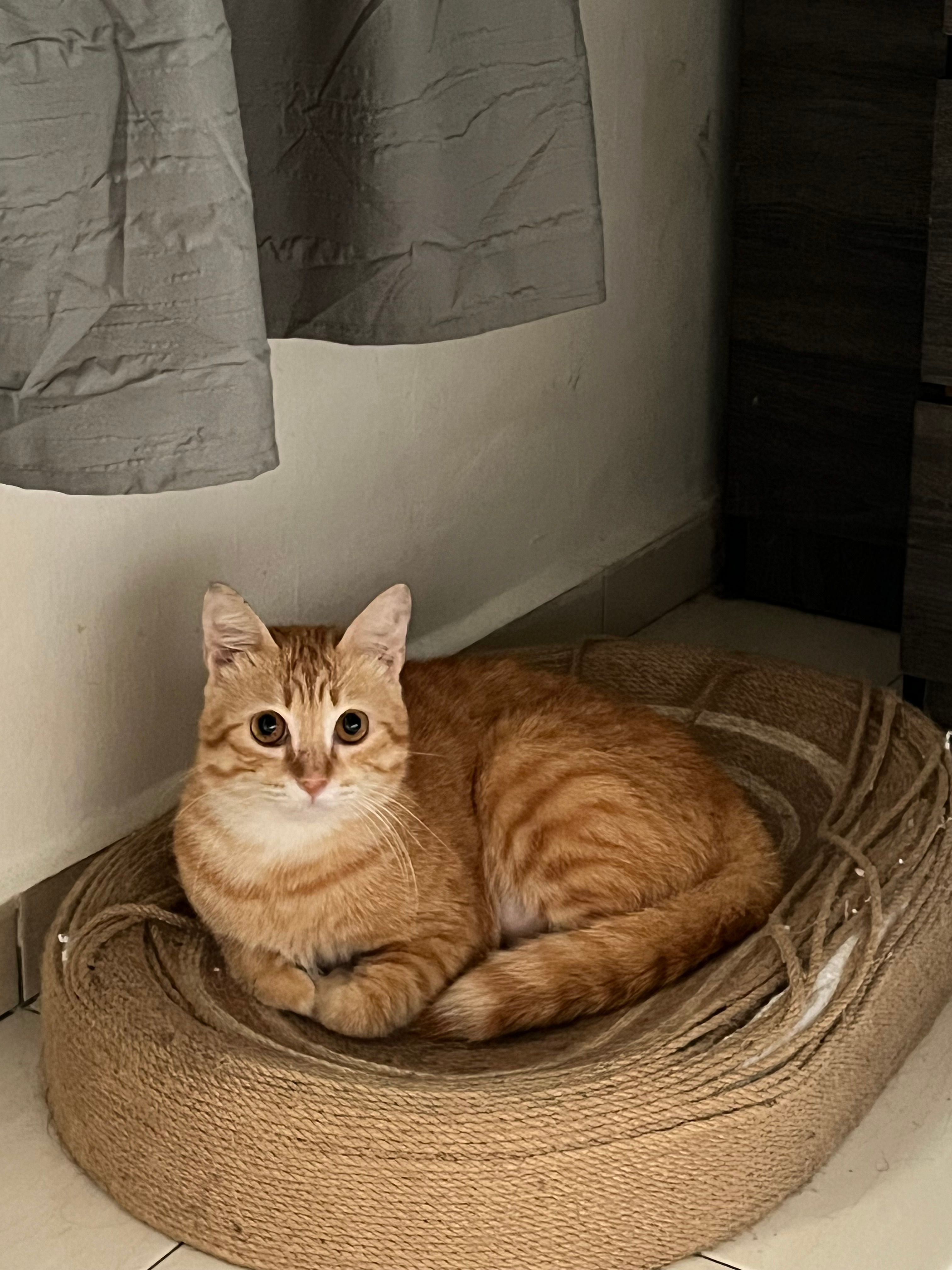 Sani - 75000, Malacca