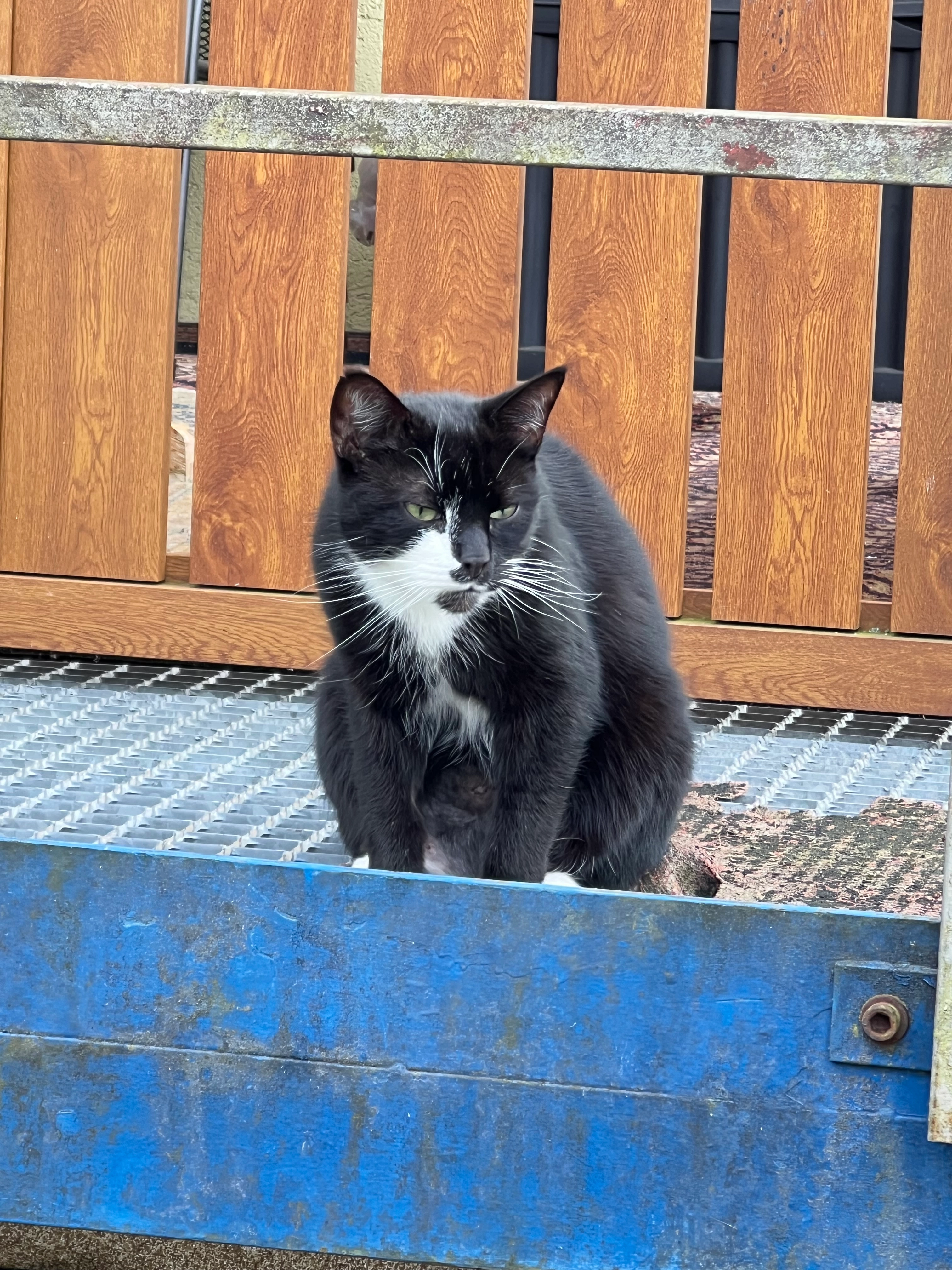 Gregor - Battenberger Straße, Biedenkopf