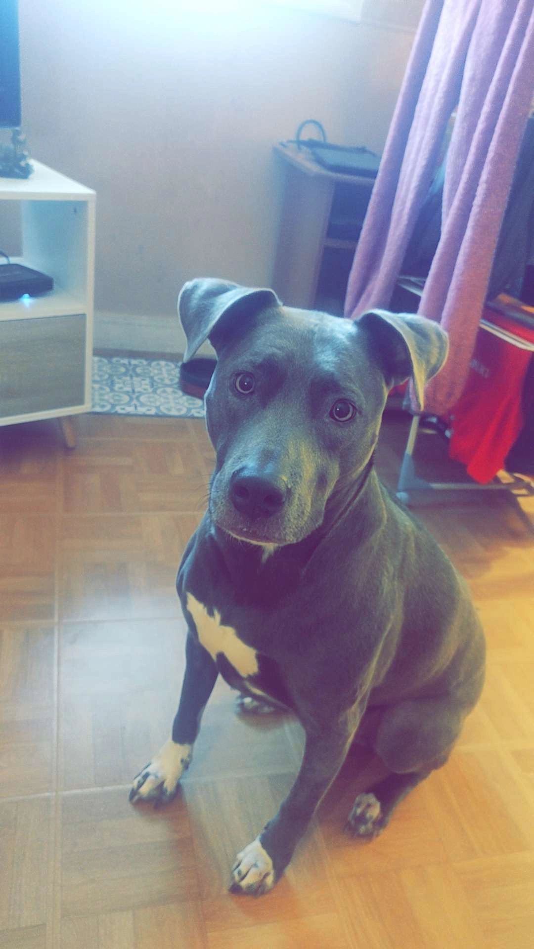 Kayline - Rue des Pignons, Saint-Jean-de-Monts