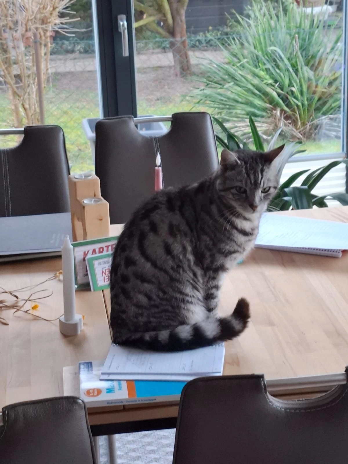 Nicki - Wilhelm-Oldörp-Straße, Selmsdorf