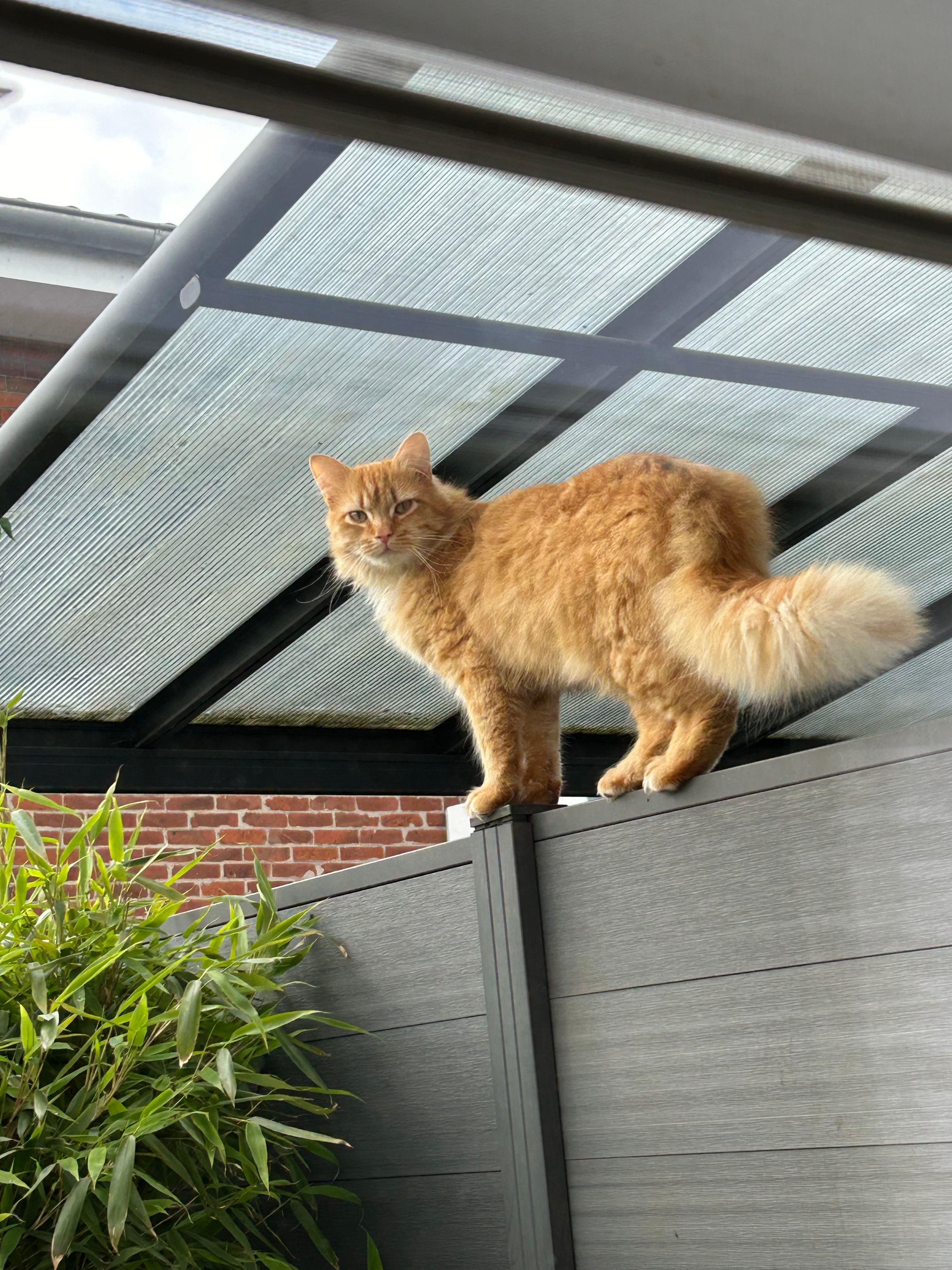 Paul - Alte Landstraße, Kronsmoor