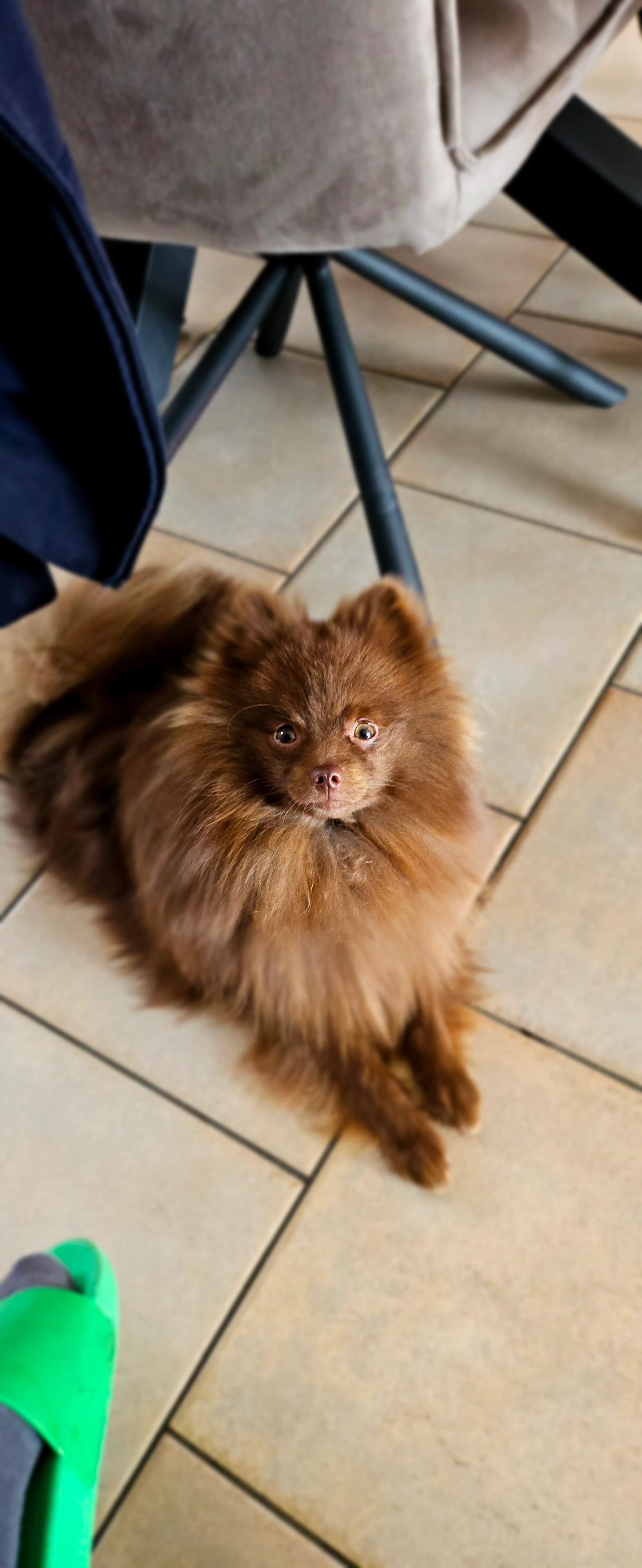 MILO - Avenue de l'Industrie 32, Liège