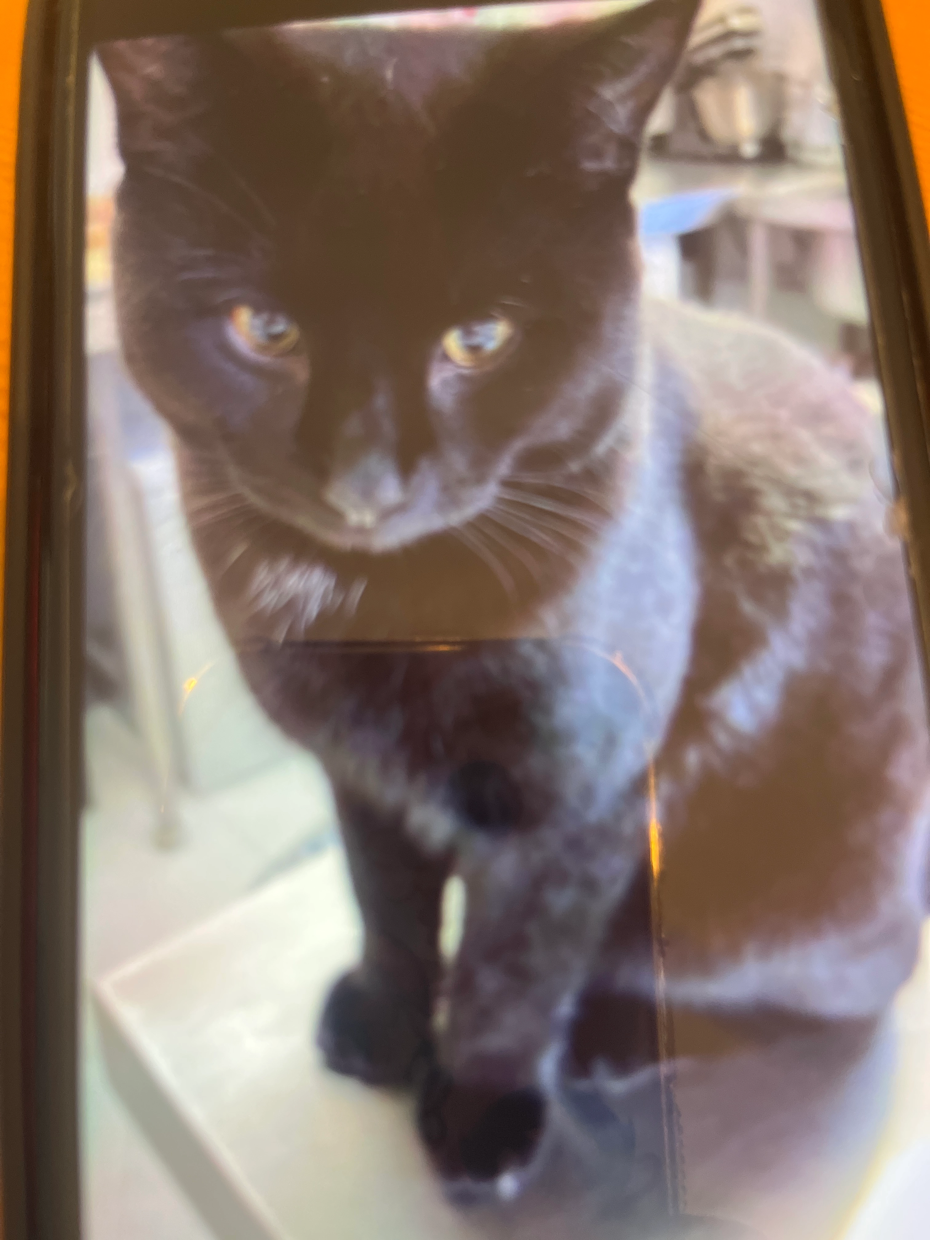 Keith - Norton Road, Stockton-on-Tees