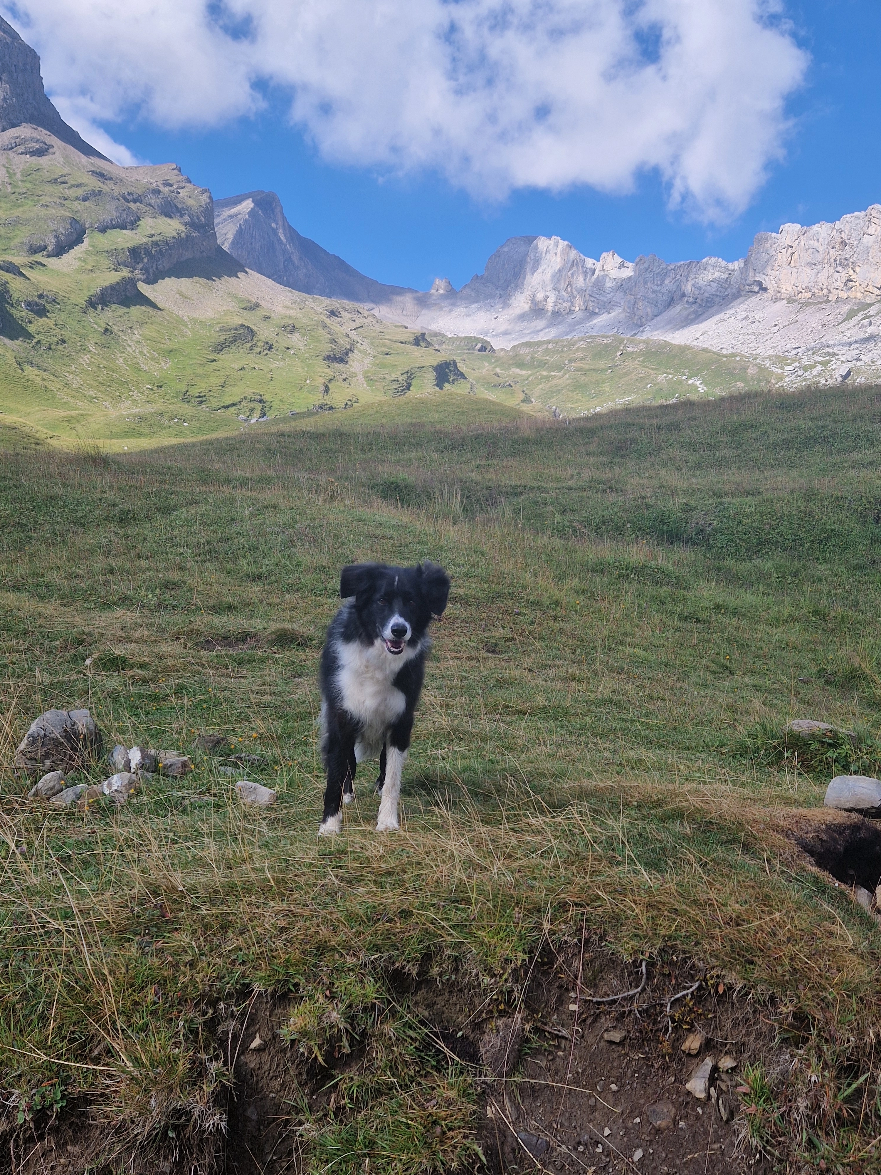 Lucky - Rue de la Fonderie 5, Ardon