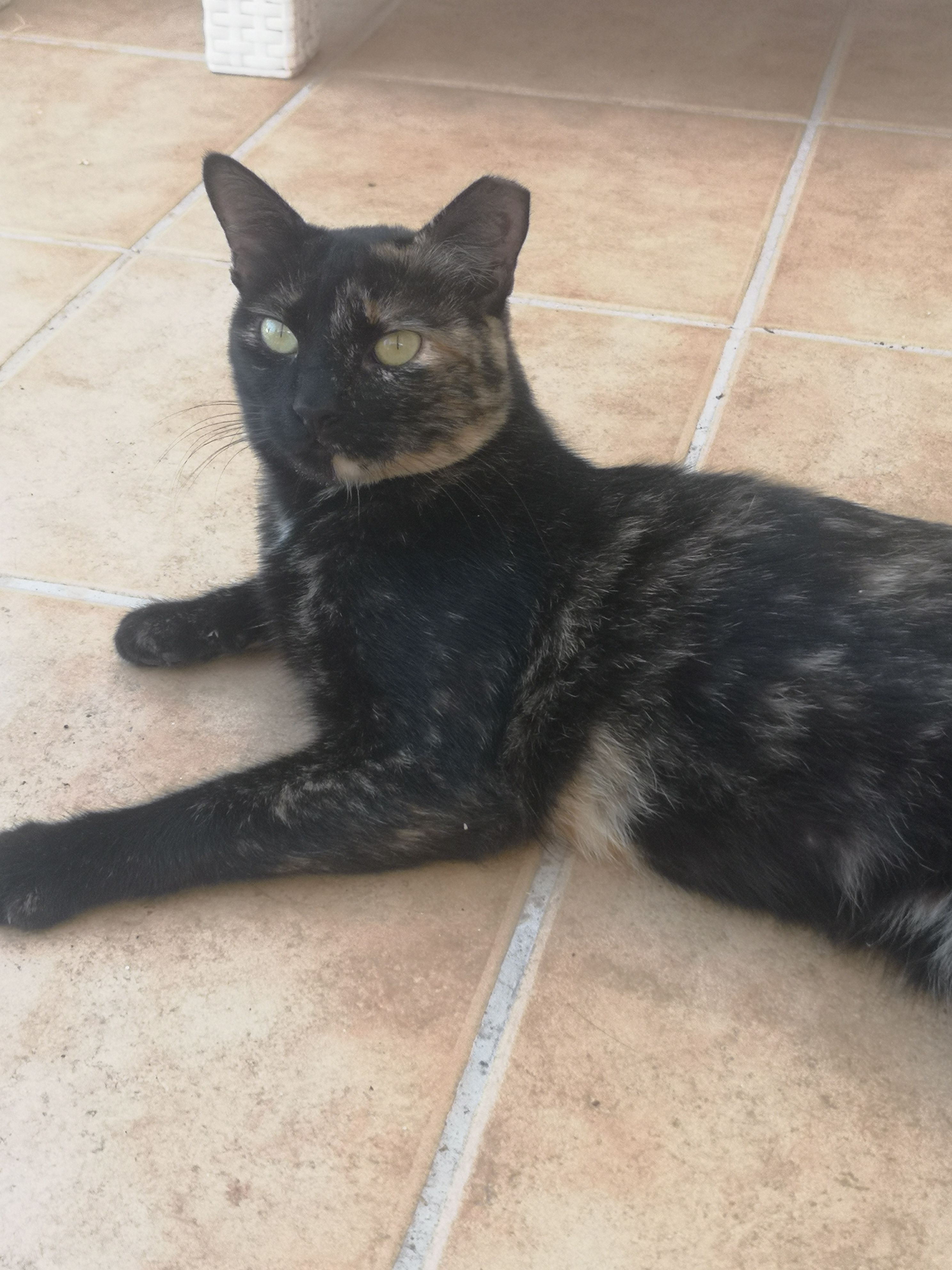 Noname - Rua de São Sebastião, Alcantarilha de Alcantarilha